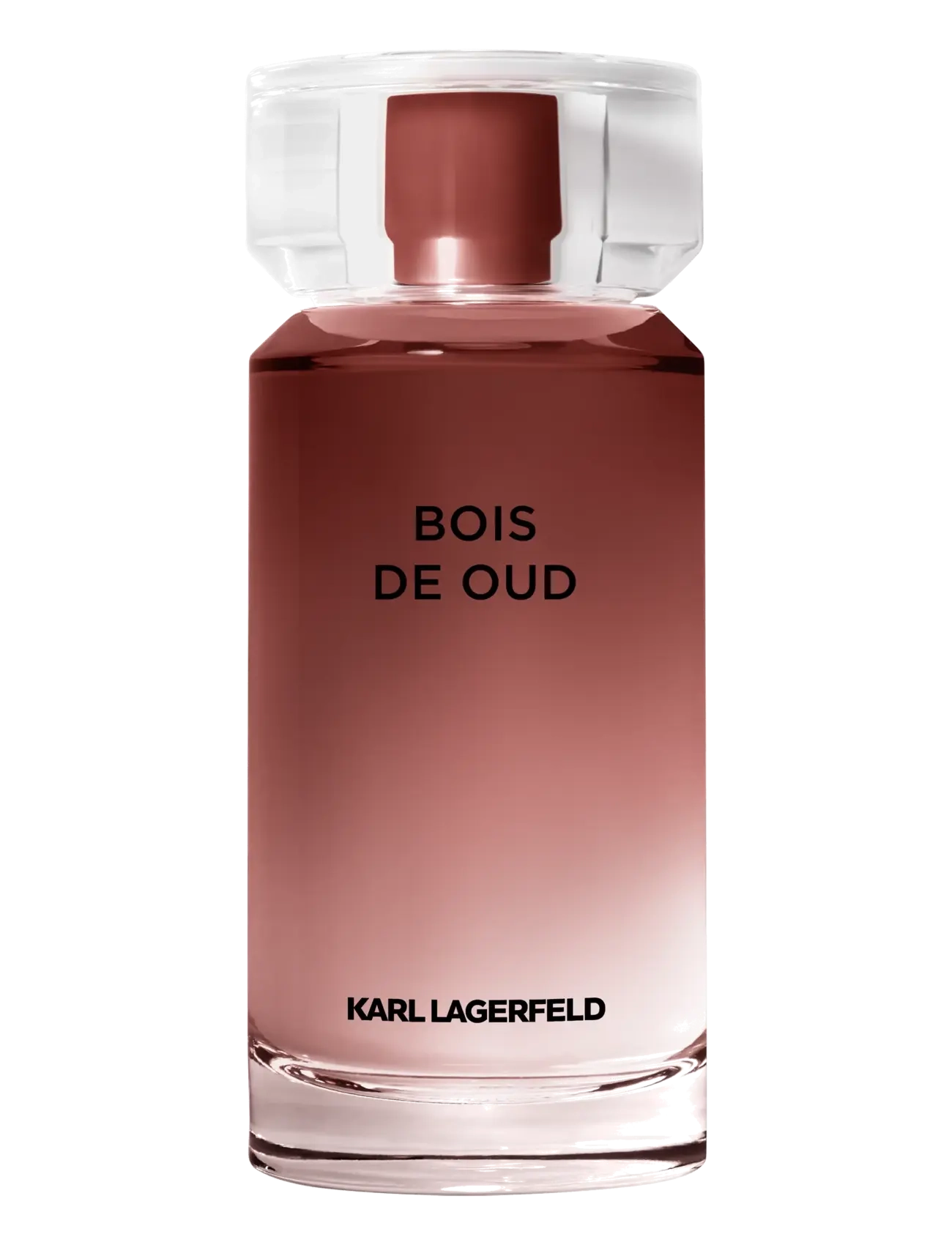 Karl Lagerfeld Fragrance Les Parfums Matières Bois de Oud Eau de Toilette - För honom - null / undefined