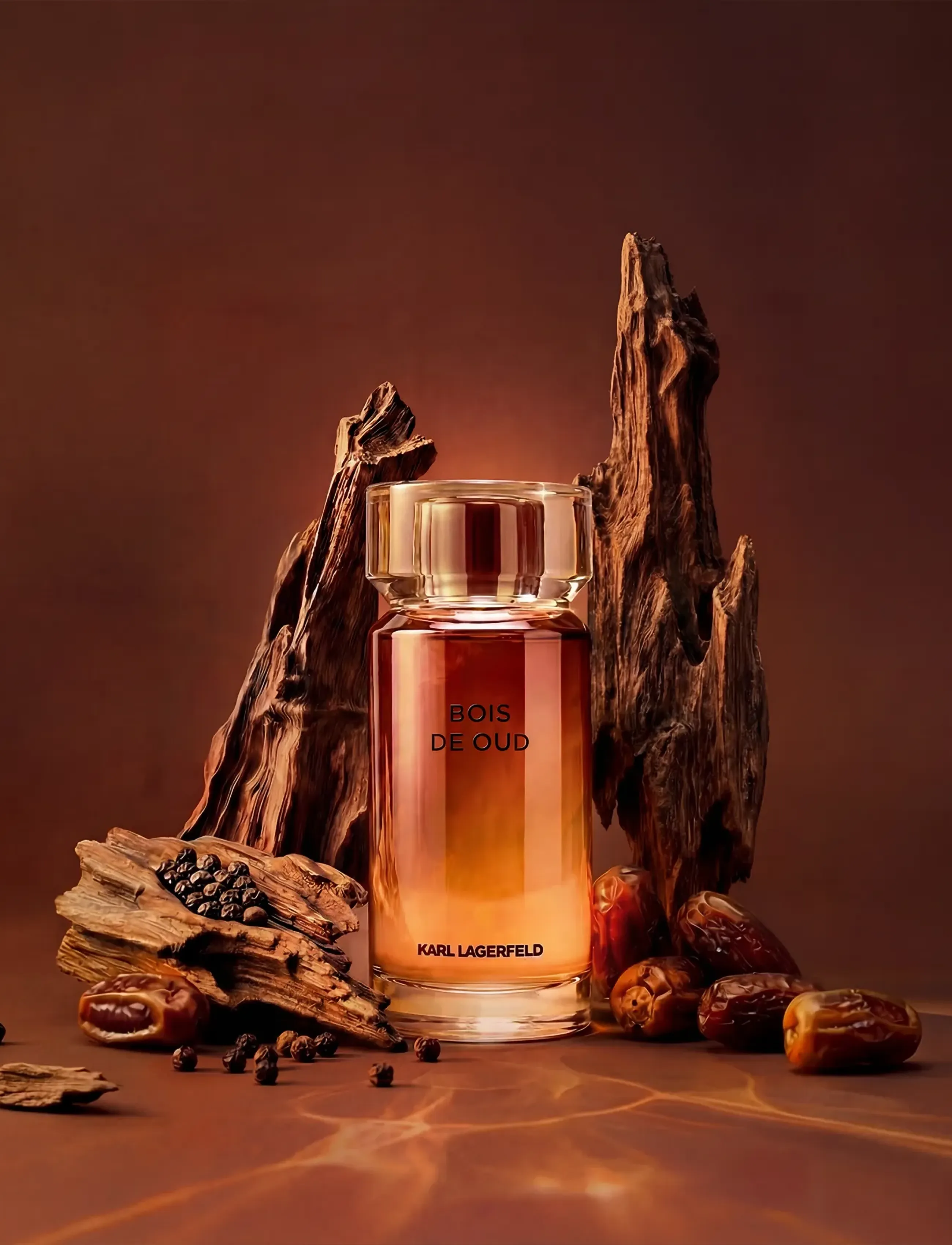 Karl Lagerfeld Fragrance - Les Parfums Matières Bois de Oud Eau de Toilette - clear - 4
