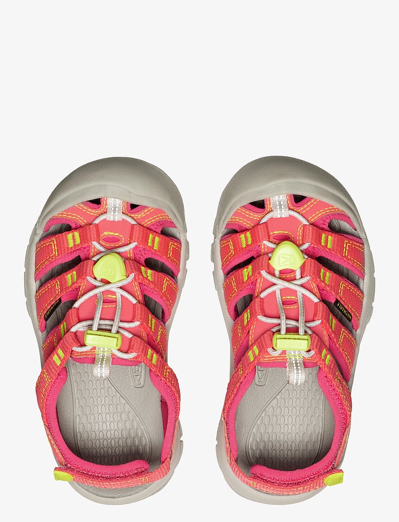 KEEN - KE NEWPORT BOUNDLESS - basutės - dubarry-evening primrose - 2