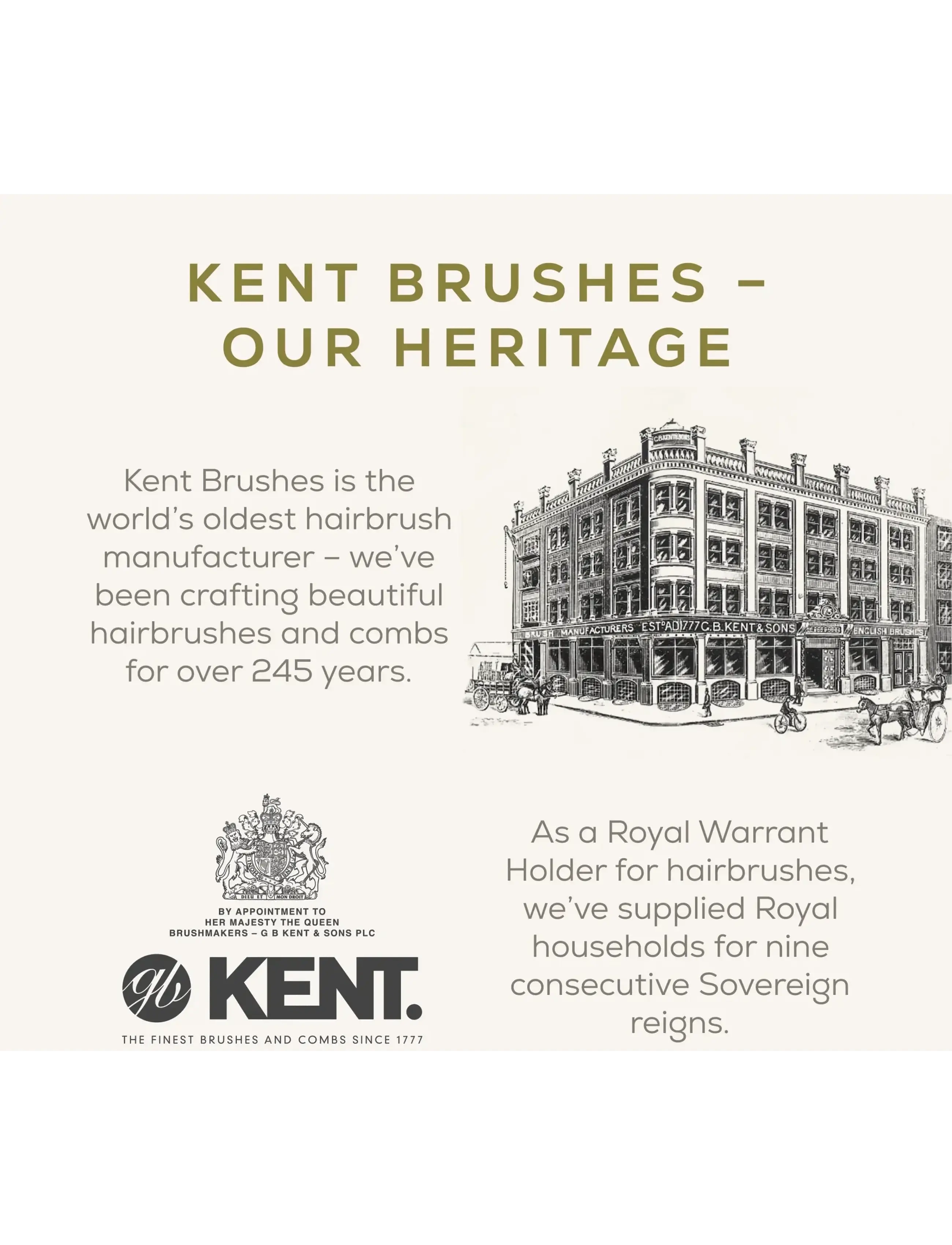 Kent Brushes - Mens Mily Oval Beech Natural Bristle - harjat & kammat - brown - 5