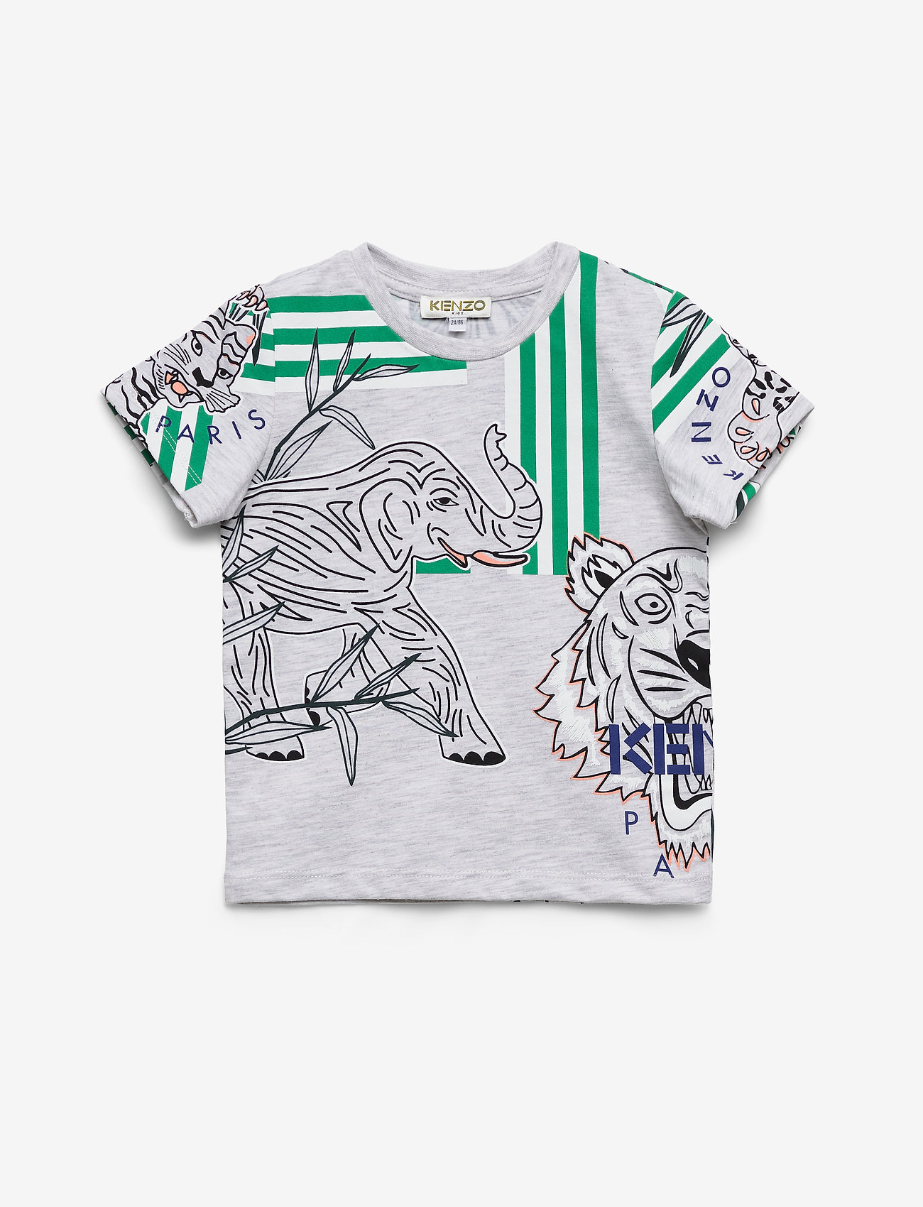 JACOB - ELEPHANT COLOR