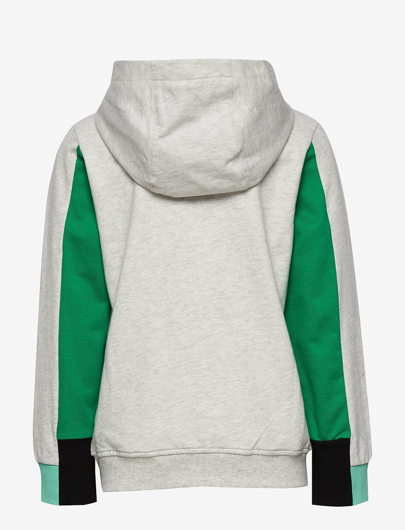 Kenzo - JAROD - elephant color - 1