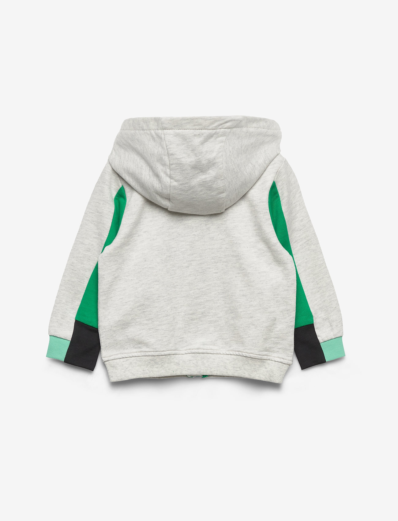 Kenzo - JAROD BB - elephant color - 1