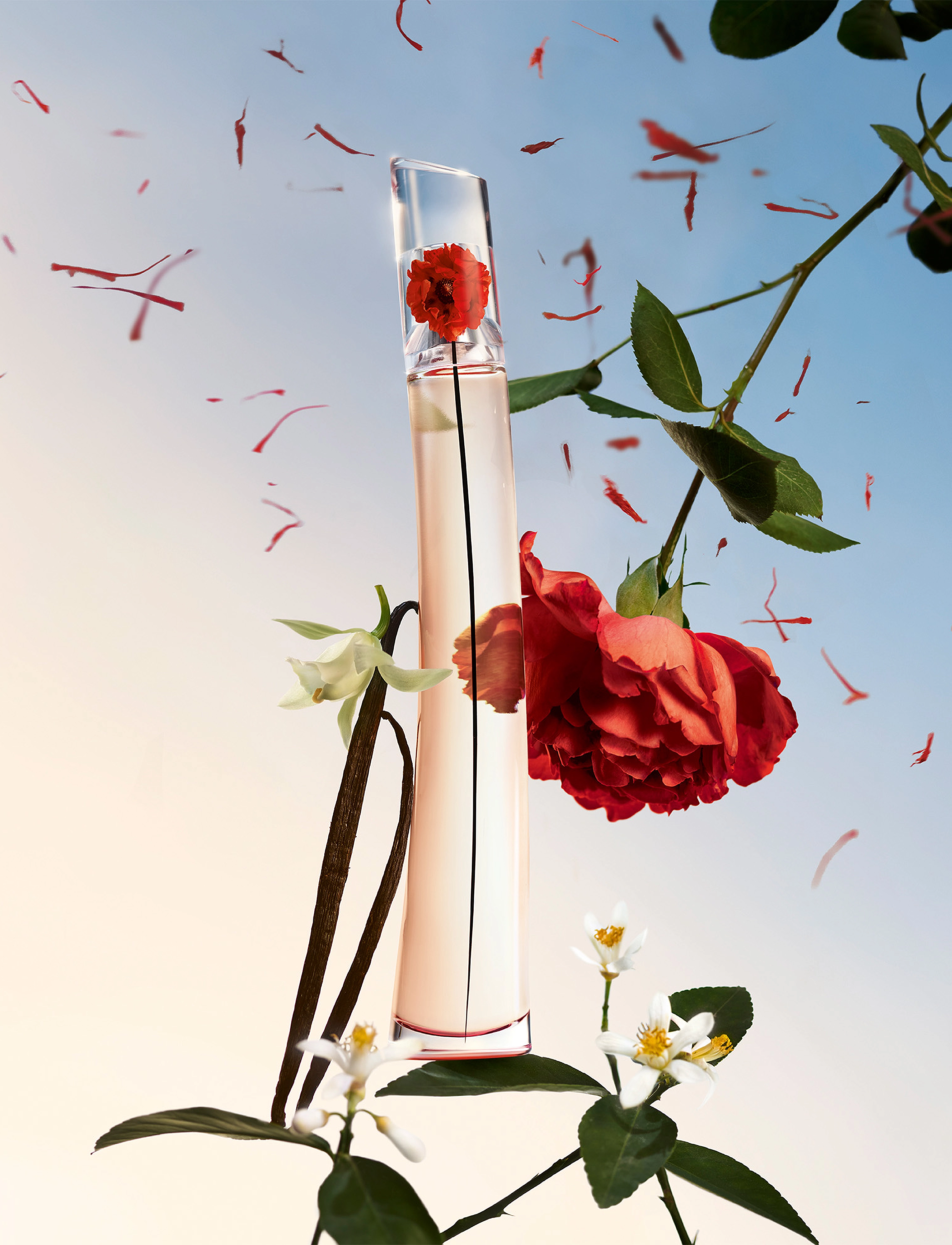 Kenzo Fragrance - KENZO Flower by Kenzo Absolut Eau de parfum 30 ML - no color - 5