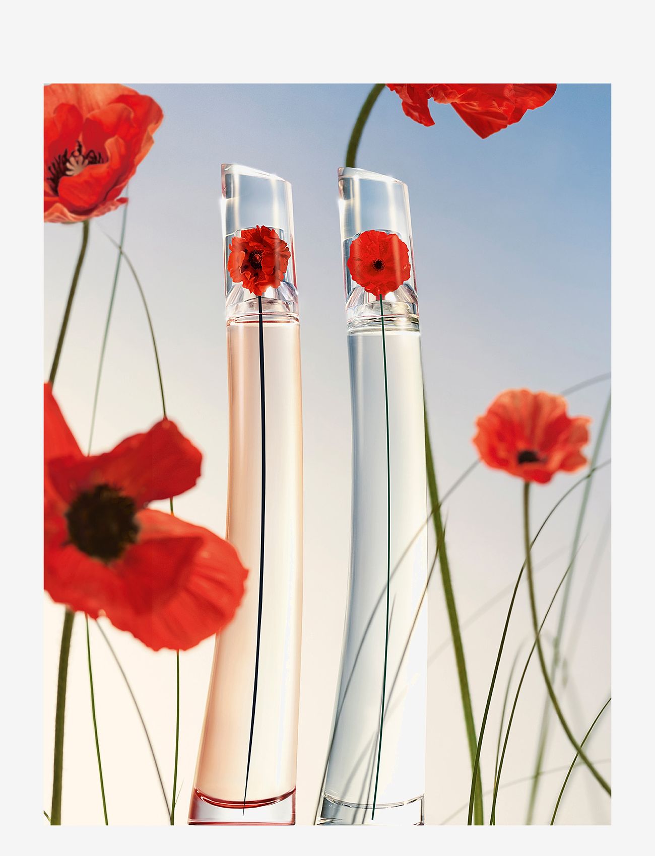 Kenzo Fragrance - KENZO Flower by Kenzo Absolut Eau de parfum 30 ML - no color - 3