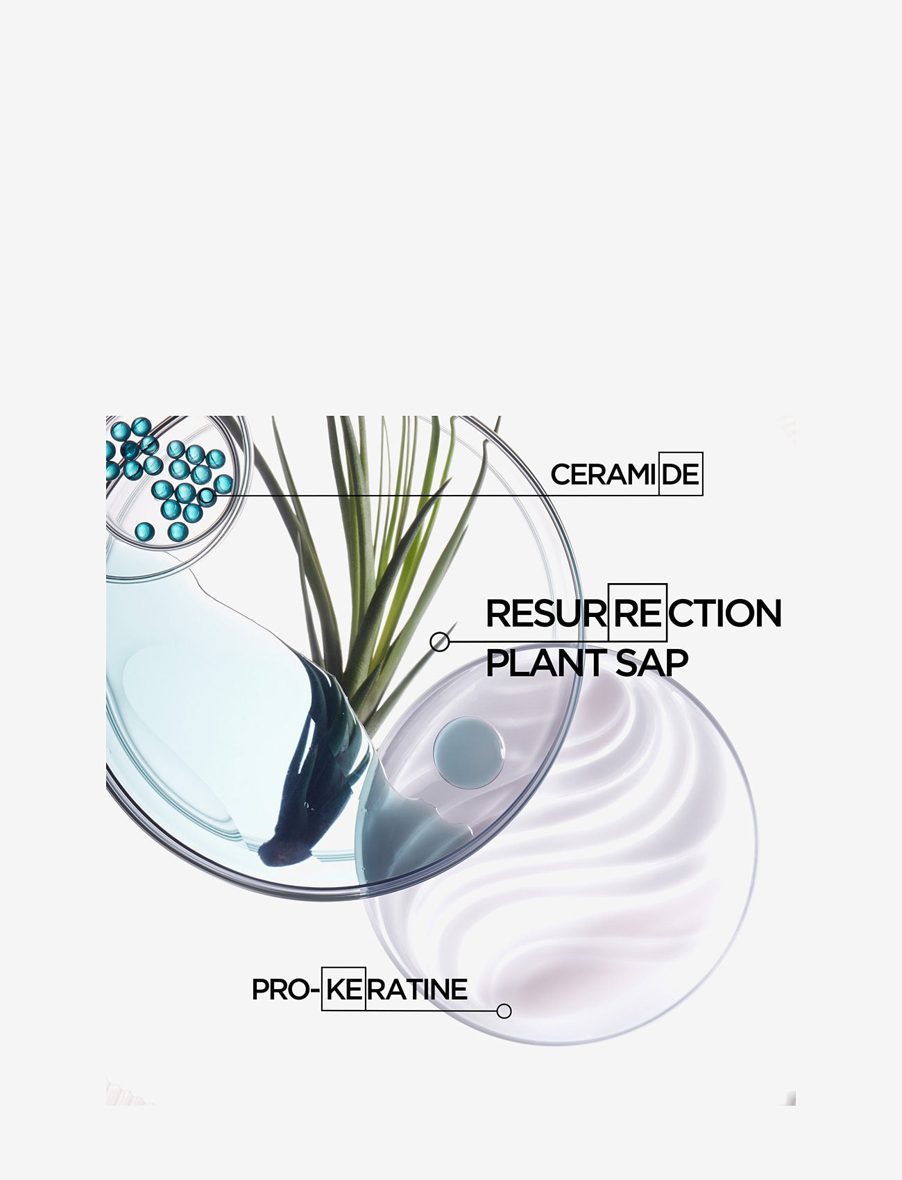 Kérastase - Resistance Bain Force Architecte Shampoo - shampoo - no colour - 4