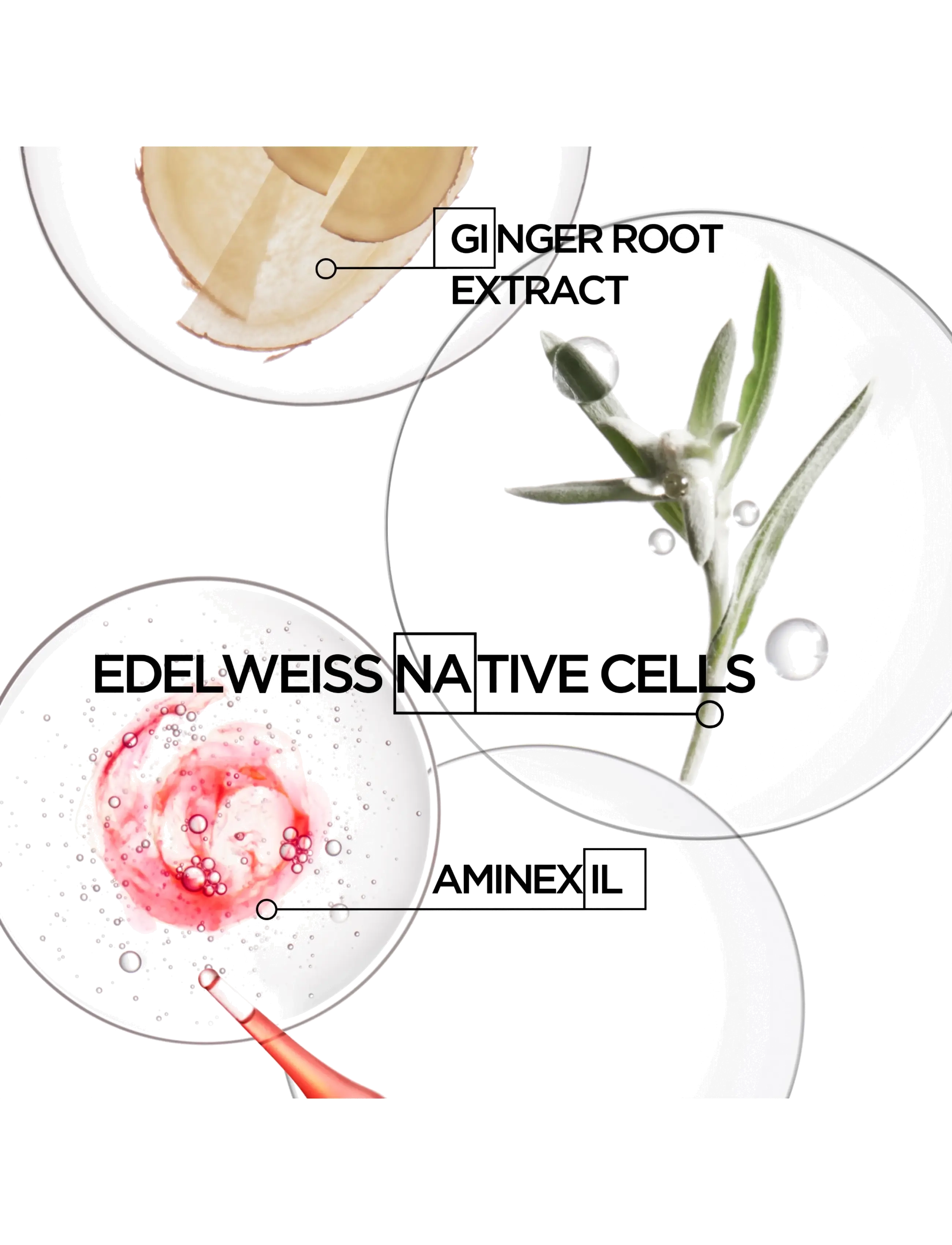 Kérastase - Kérastase Genesis Defense Thermique Leave-in 150 ml - varmebeskyttelse - no colour - 3