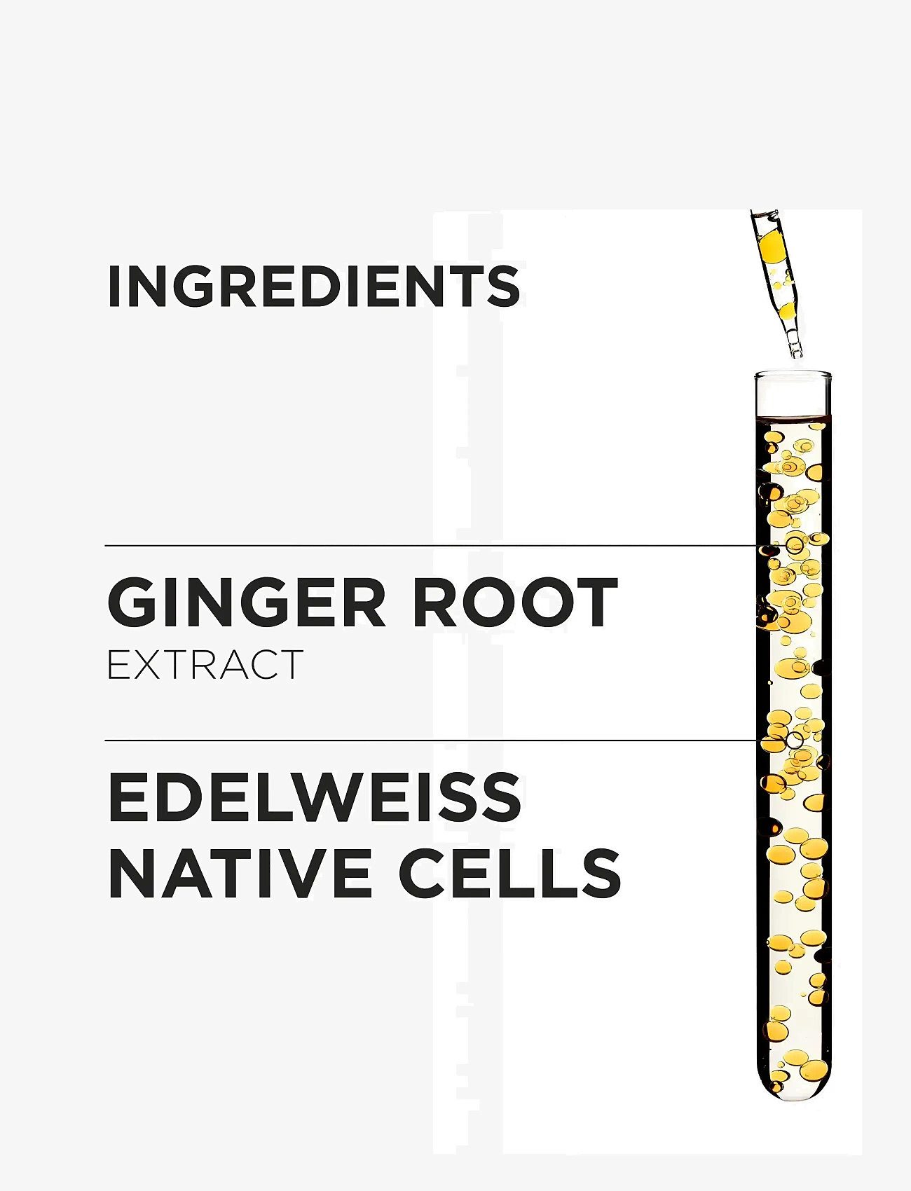 Kérastase - Genesis Bain Nutri-Fortifiant Shampoo - no colour - 5