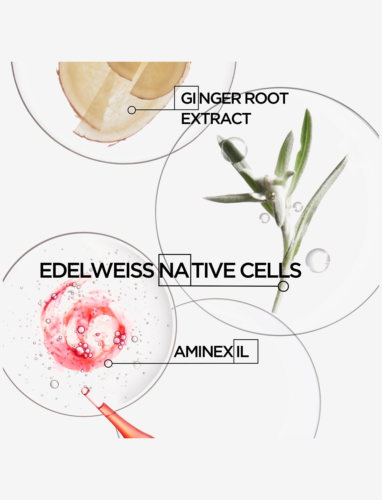 Kérastase - Kérastase Genesis Homme Serum Anti-chute Fortifiant 90 ml - hårserum - no colour - 1