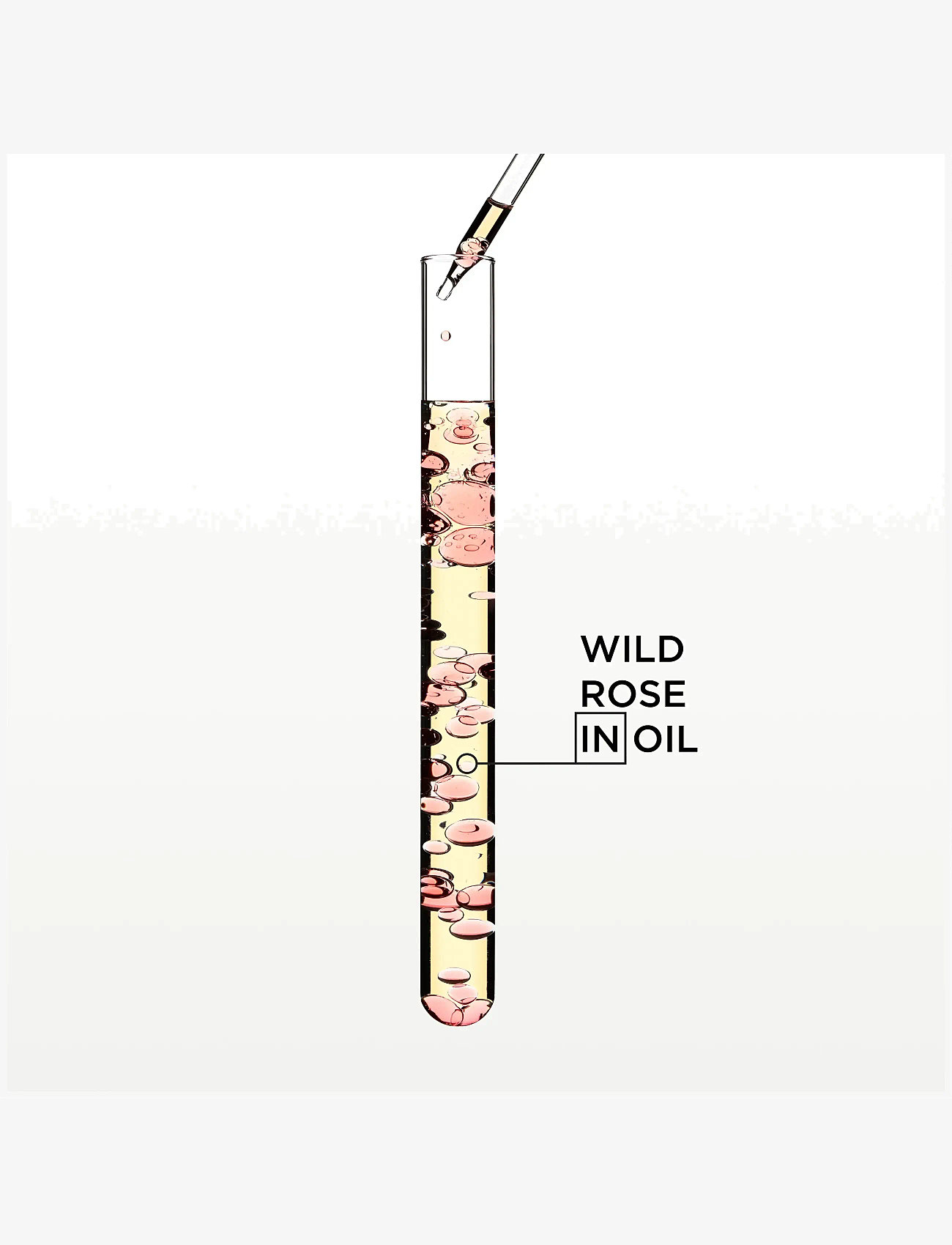 Kérastase - Kérastase Gloss Absolu Glaze Drops Hair Oil 45 ml - hår - clear - 4