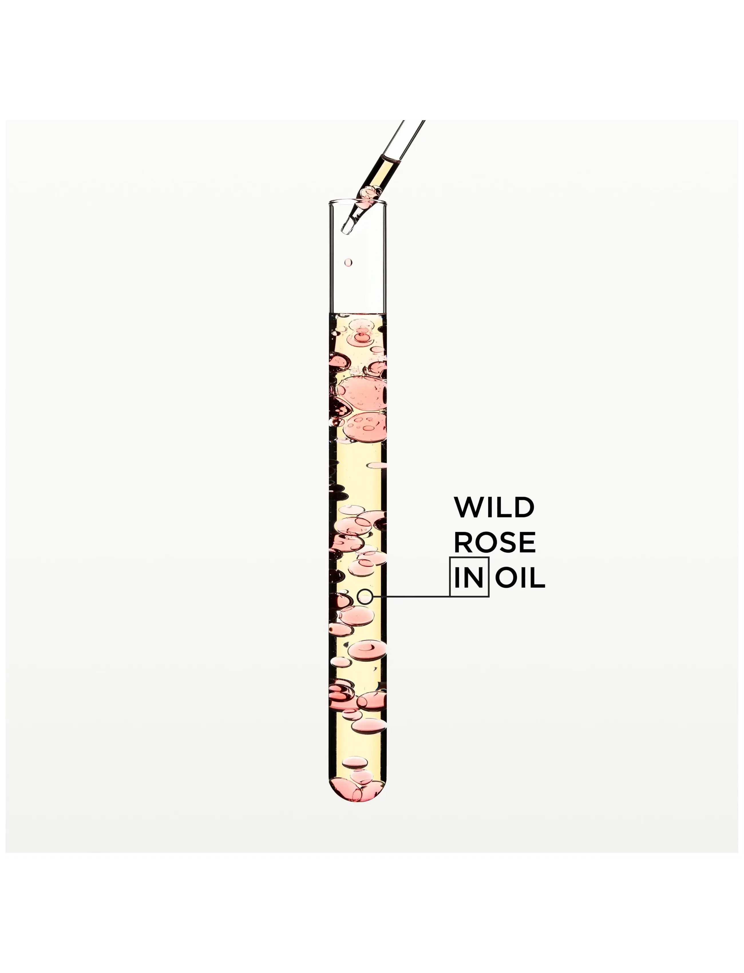 Kérastase - Kérastase Gloss Absolu Glaze Drops Hair Oil 45 ml - hår - clear - 4