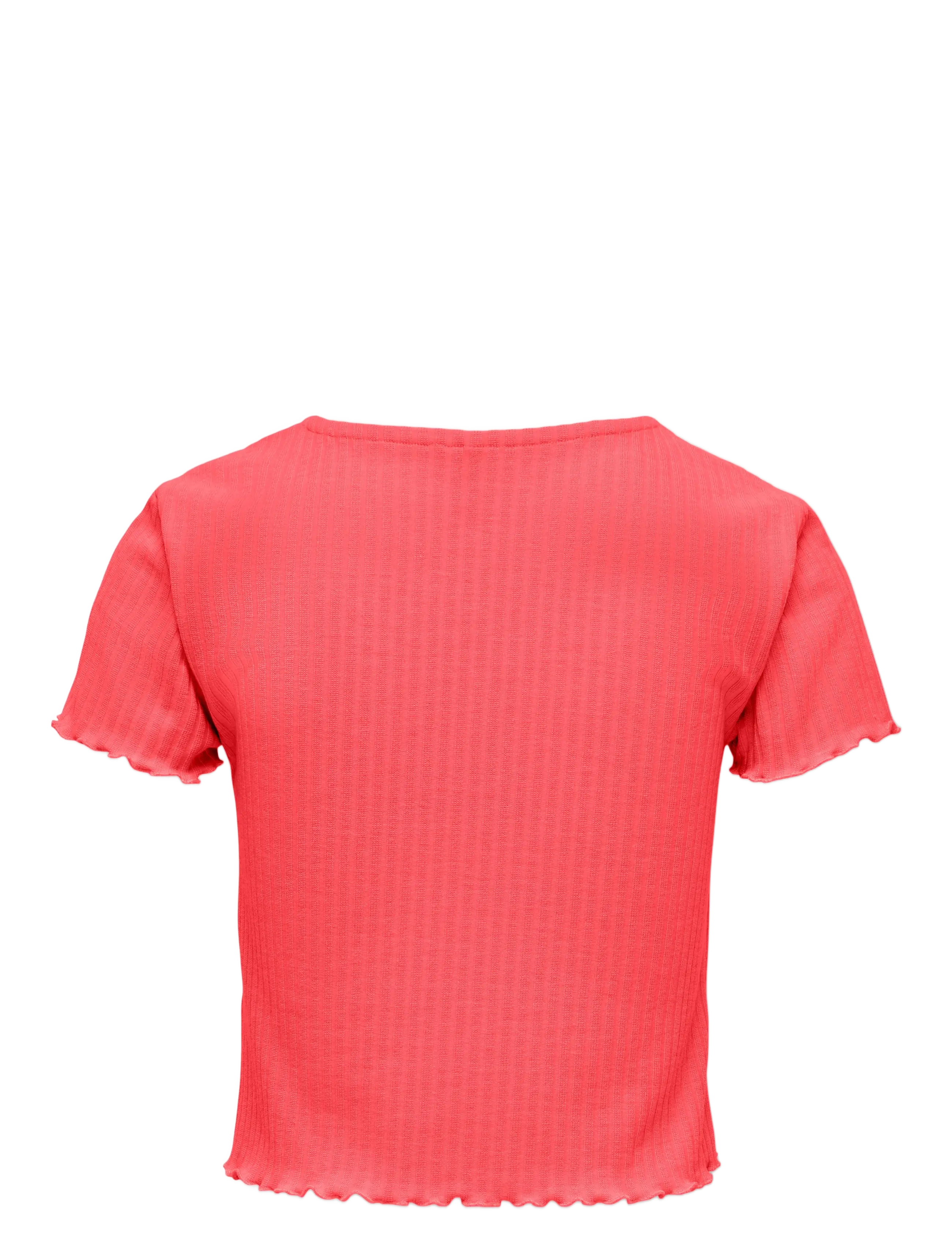 Kids Only - KOGNELLA S/S O-NECK TOP NOOS JRS - kortærmede t-shirts - dubarry - 1