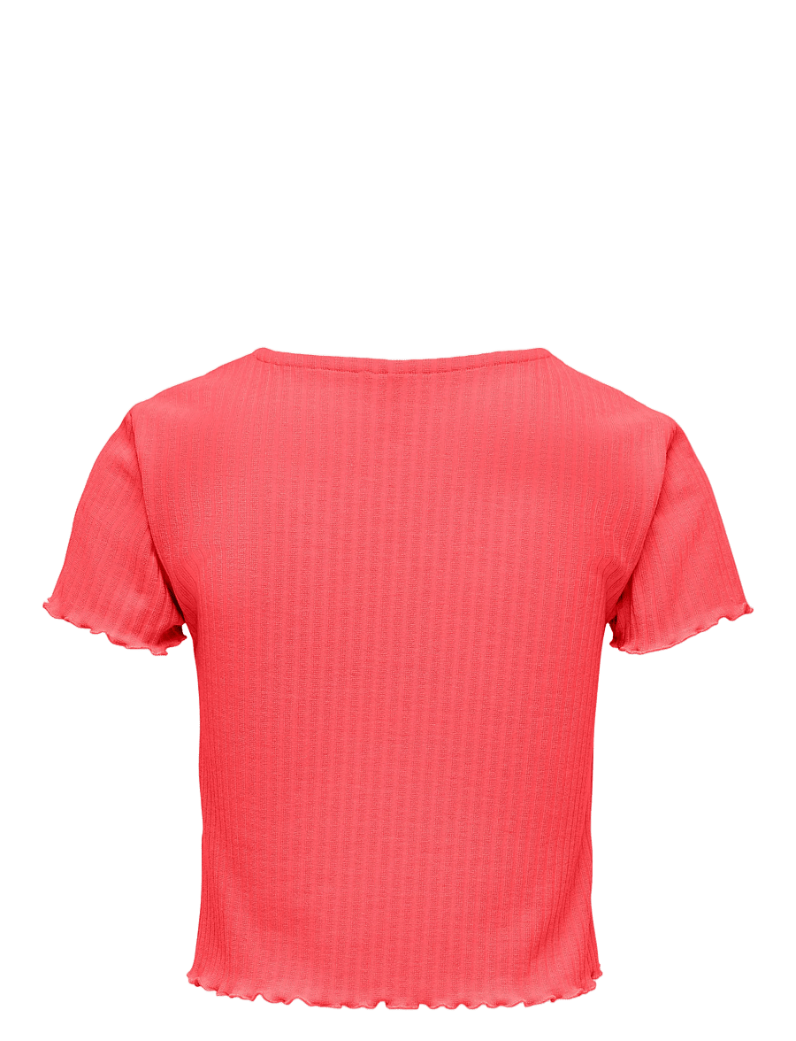 Kids Only - KOGNELLA S/S O-NECK TOP NOOS JRS - kortærmede t-shirts - dubarry - 1