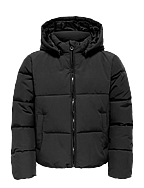 JDY JDYSKYLAR PADDED HOOD WAISTCOAT OTW NOOS Grün - Kleidung JDY JDYSKYLAR PADDED HOOD WAISTCOAT OTW NOOS Grün - Kleidung