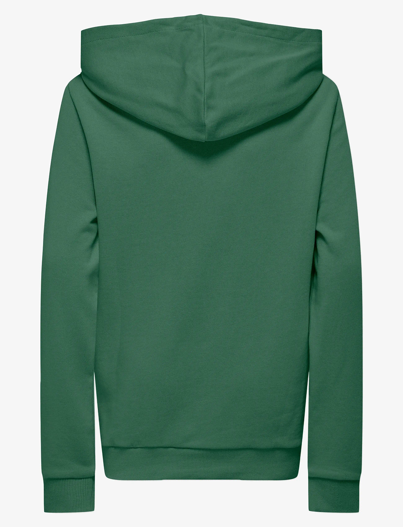 Kids Only - KOBLASSI L/S POCKET HOOD SWT NOOS - kapuzenpullover - myrtle - 2