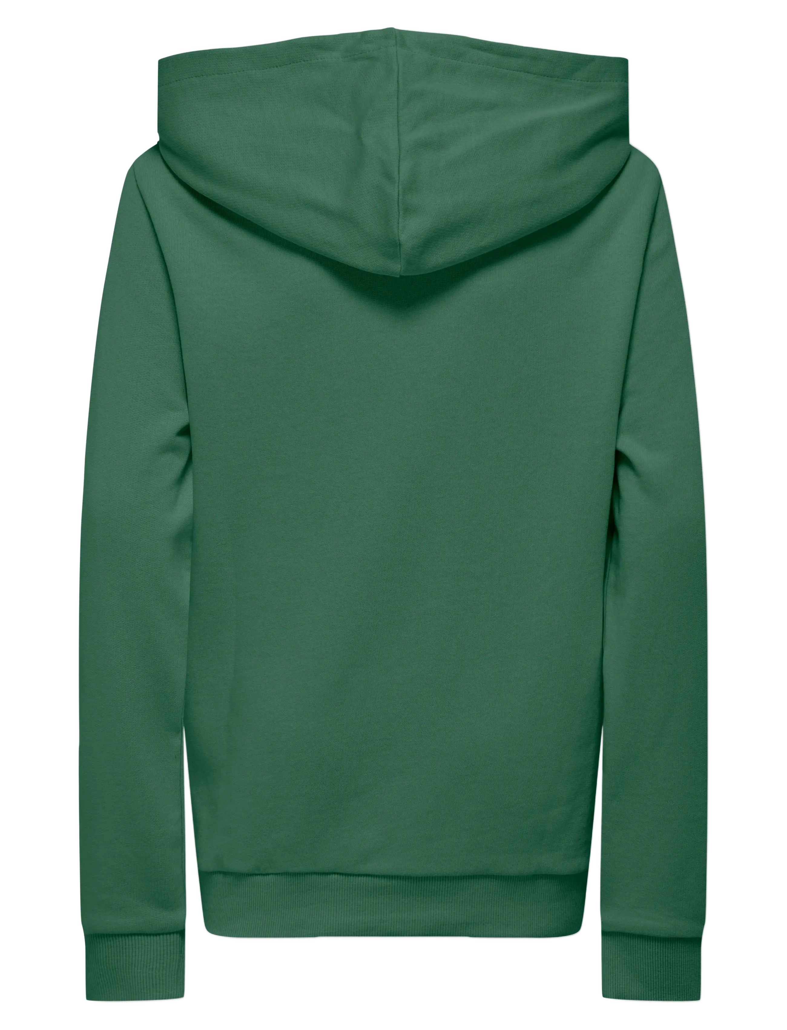 Kids Only - KOBLASSI L/S POCKET HOOD SWT NOOS - hættetrøjer - myrtle - 2