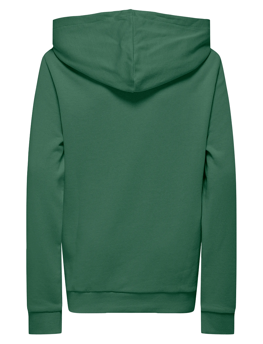 Kids Only - KOBLASSI L/S POCKET HOOD SWT NOOS - hættetrøjer - myrtle - 2