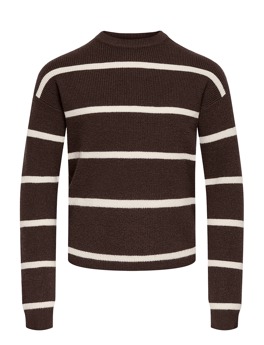 Kids Only - KOGFRANCA LIFE SHORT L/S STRIPE KNT NOOS - pullover - coffee bean - 0