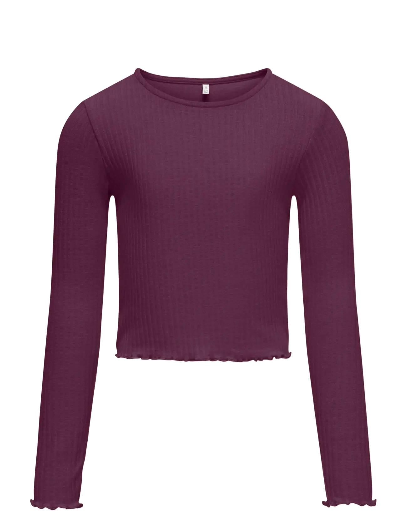 Kids Only KOGNELLA L/S O-NECK TOP JRS NOOS - Toppe og t-shirts - MAUVE WINE / purple