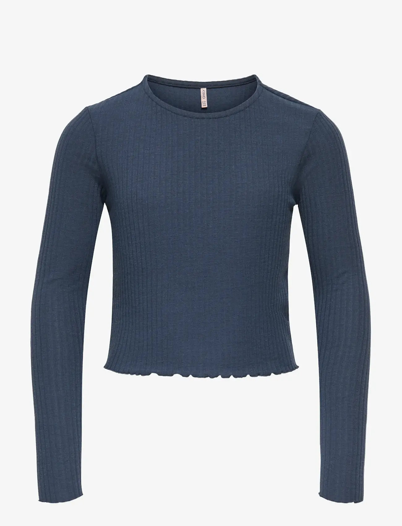 Kids Only - KOGNELLA L/S O-NECK TOP JRS NOOS - långärmade t-shirts - ombre blue - 0