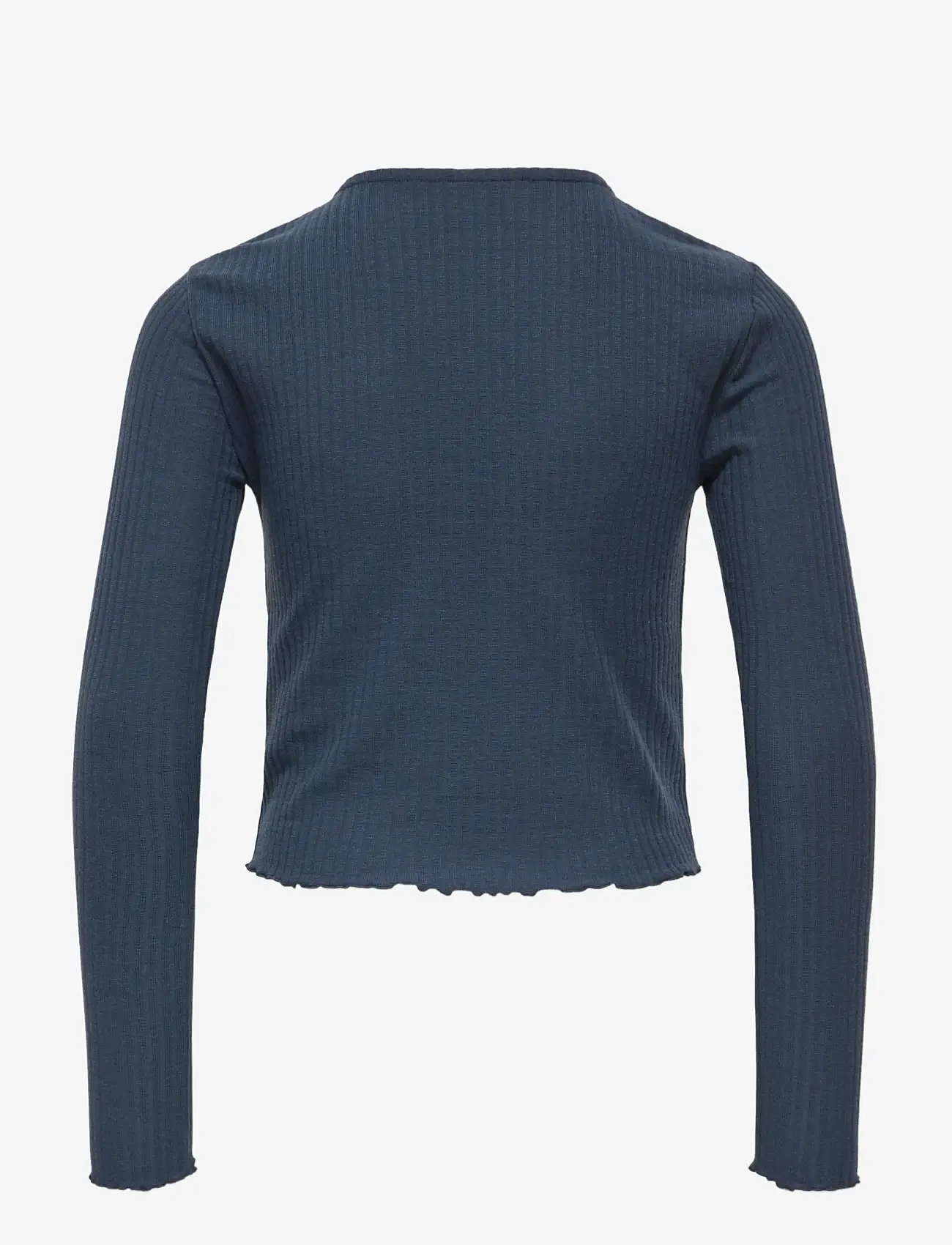 Kids Only - KOGNELLA L/S O-NECK TOP JRS NOOS - långärmade t-shirts - ombre blue - 1