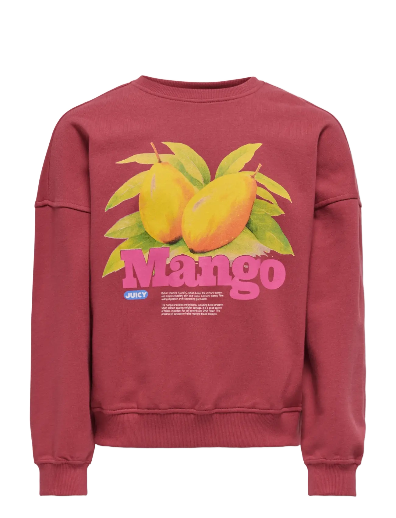 Kids Only KOGPHILEA LIFE L/S OVZFRUIT ONECK UB SWT - Sweatshirts & Huvtröjor - EARTH RED / burgundy