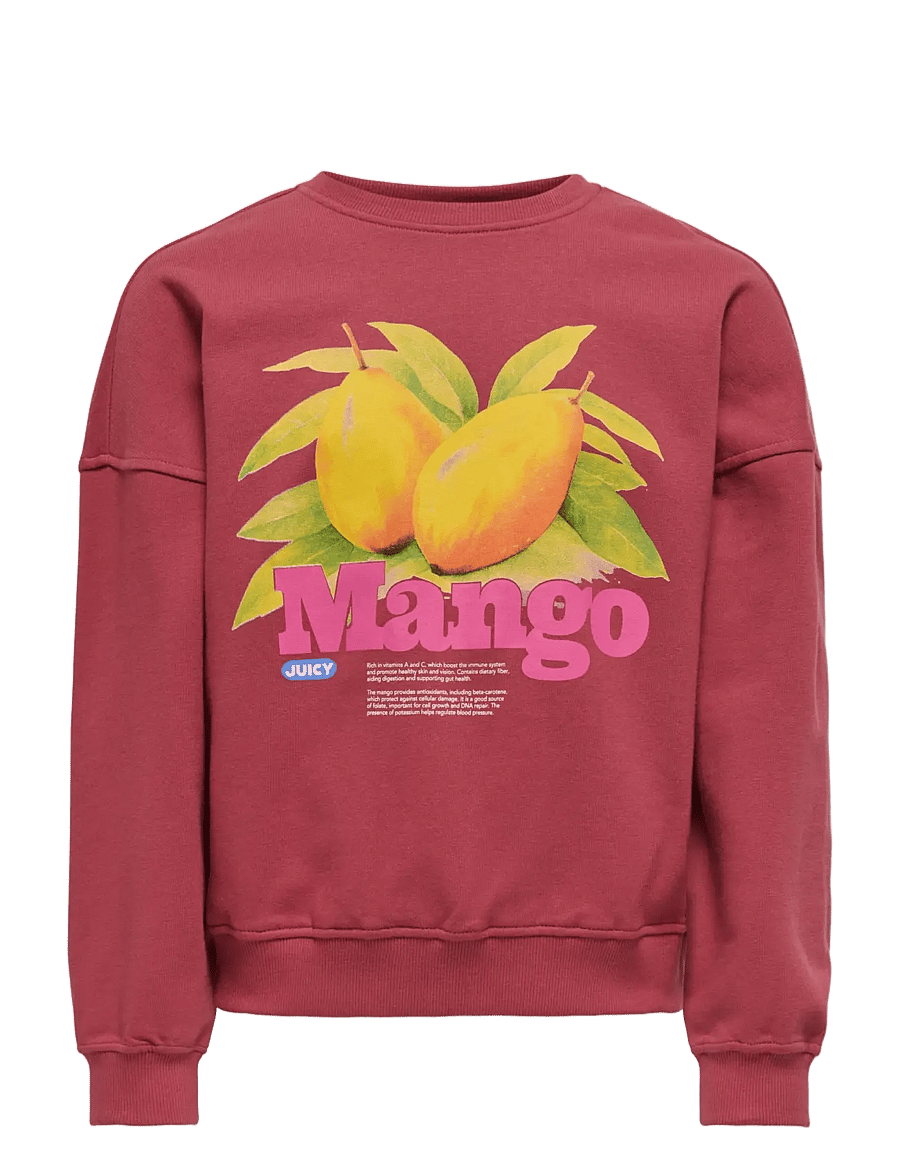 Kids Only - KOGPHILEA LIFE L/S OVZFRUIT ONECK UB SWT - sweatshirts - earth red - 1