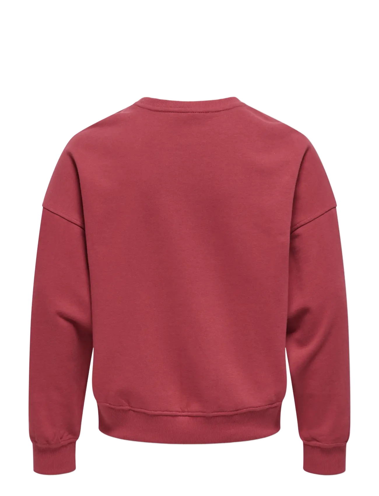 Kids Only - KOGPHILEA LIFE L/S OVZFRUIT ONECK UB SWT - sweatshirts - earth red - 2
