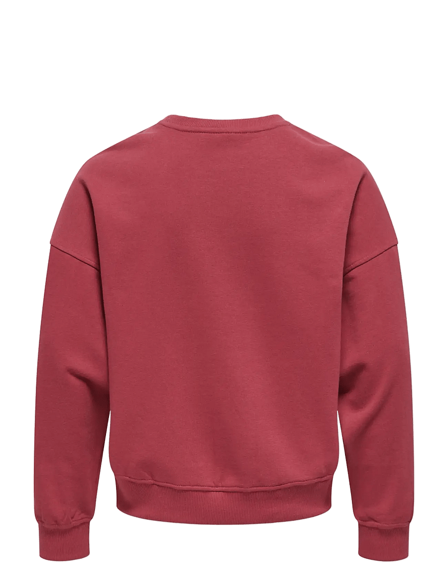 Kids Only - KOGPHILEA LIFE L/S OVZFRUIT ONECK UB SWT - sweatshirts - earth red - 2