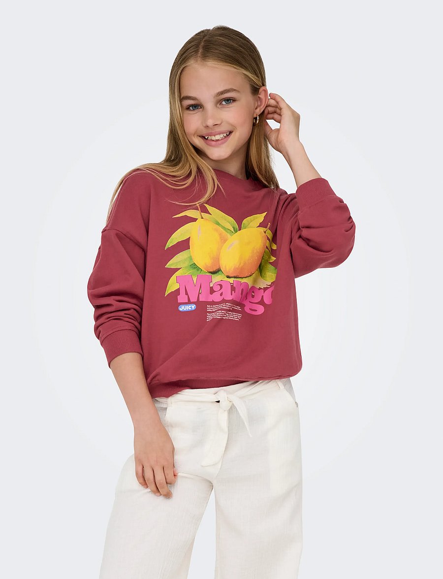Kids Only - KOGPHILEA LIFE L/S OVZFRUIT ONECK UB SWT - sweatshirts - earth red - 0