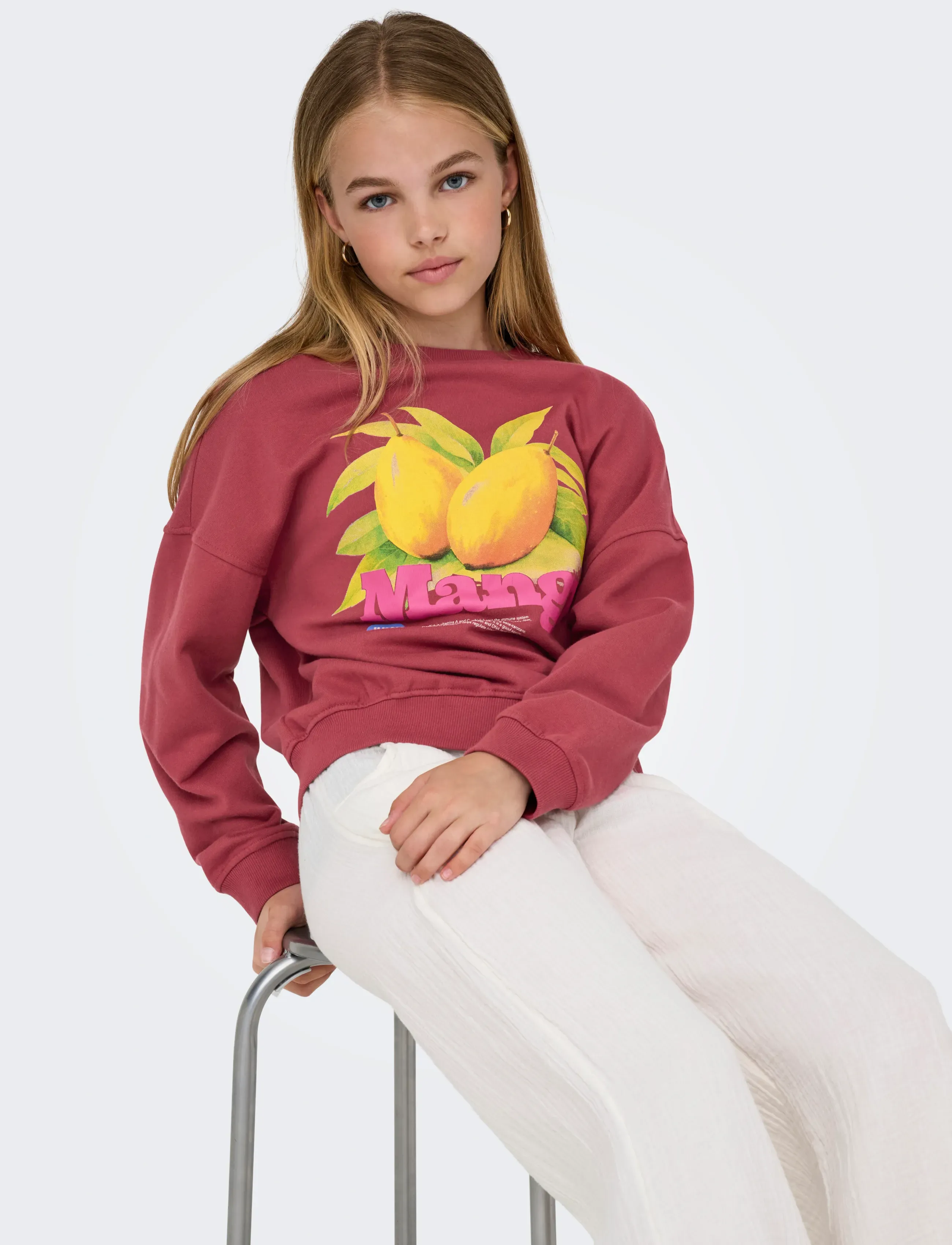 Kids Only - KOGPHILEA LIFE L/S OVZFRUIT ONECK UB SWT - sweatshirts - earth red - 4