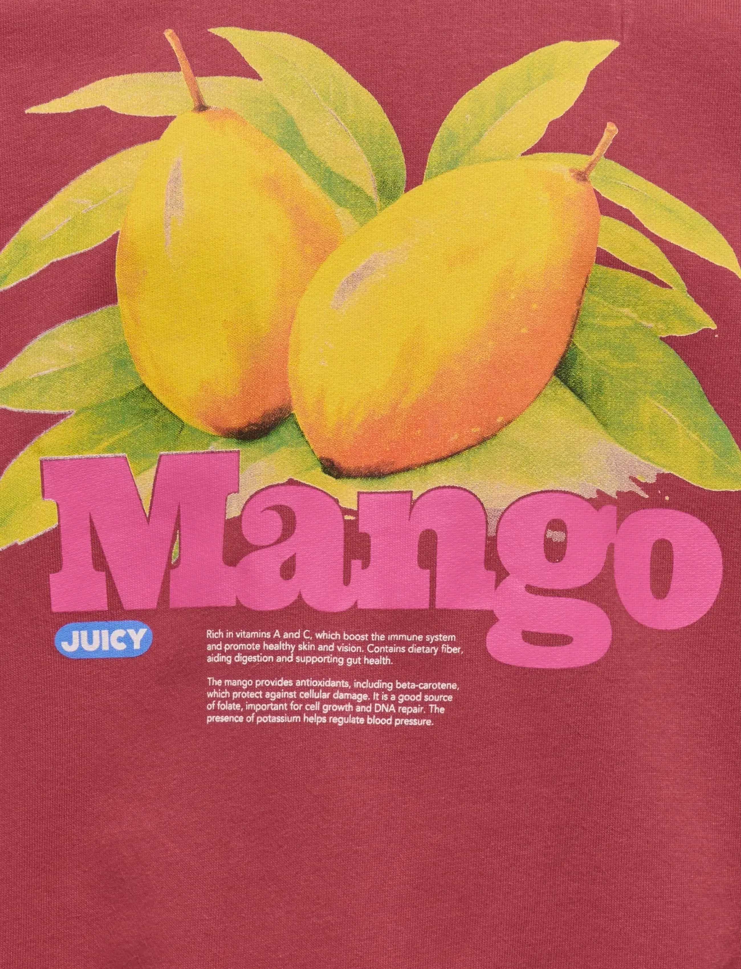 Kids Only - KOGPHILEA LIFE L/S OVZFRUIT ONECK UB SWT - sweatshirts - earth red - 5