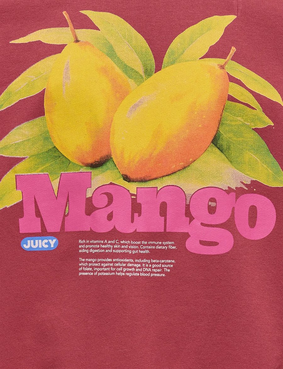 Kids Only - KOGPHILEA LIFE L/S OVZFRUIT ONECK UB SWT - sweatshirts - earth red - 5