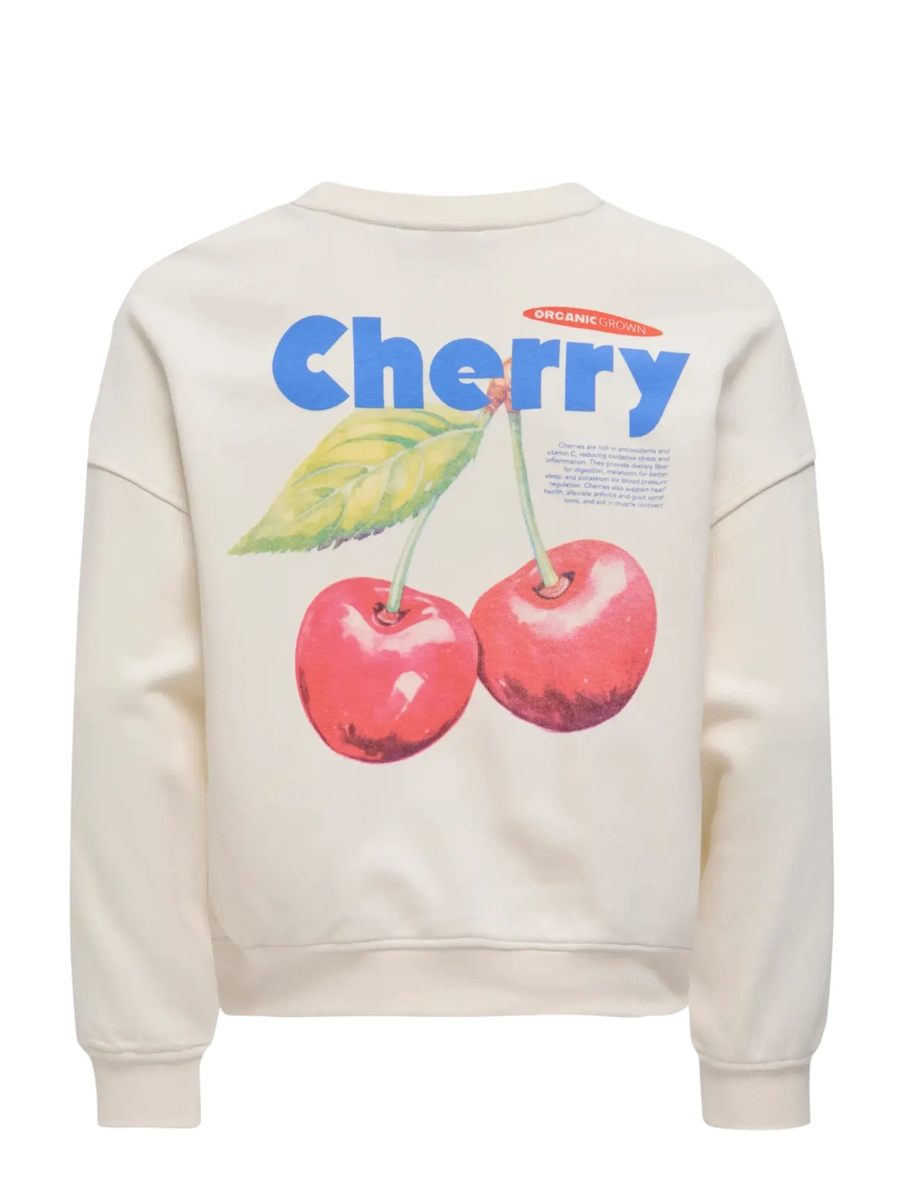 Kids Only - KOGPHILEA LIFE L/S OVZFRUIT ONECK UB SWT - sweat-shirt - tofu - 2