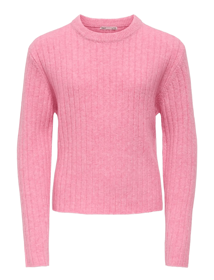 Kids Only - KOGJEANETT LIFE LS RIB O-NECK CP KNT - pulls - sea pink - 0