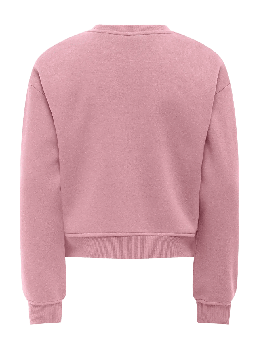 Kids Only - KOGSWEAT LS CREW OVZ STAT SWT NOOS - sweatshirts - foxglove - 2