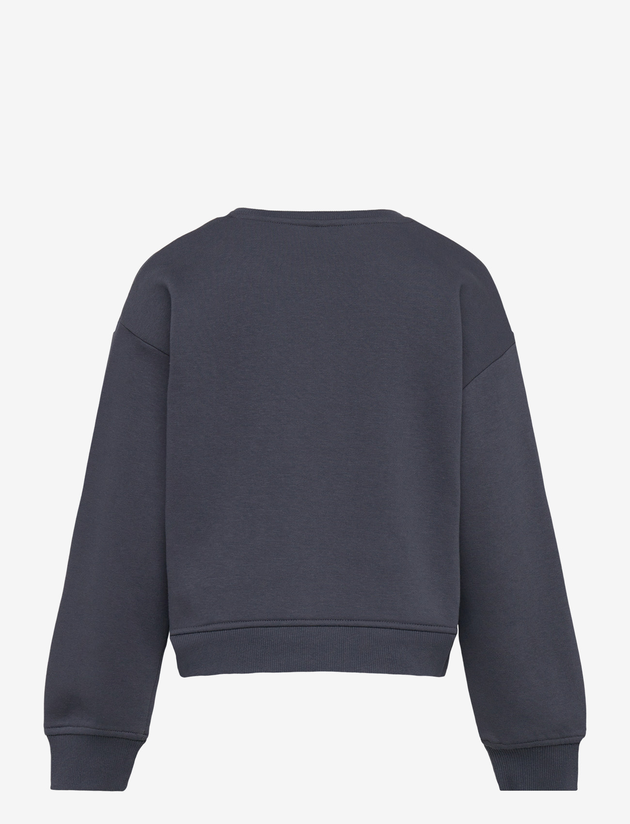 Kids Only - KMGSWEAT LS CREW OSZ STAT SWT NOOS - sweatshirts - ombre blue - 1