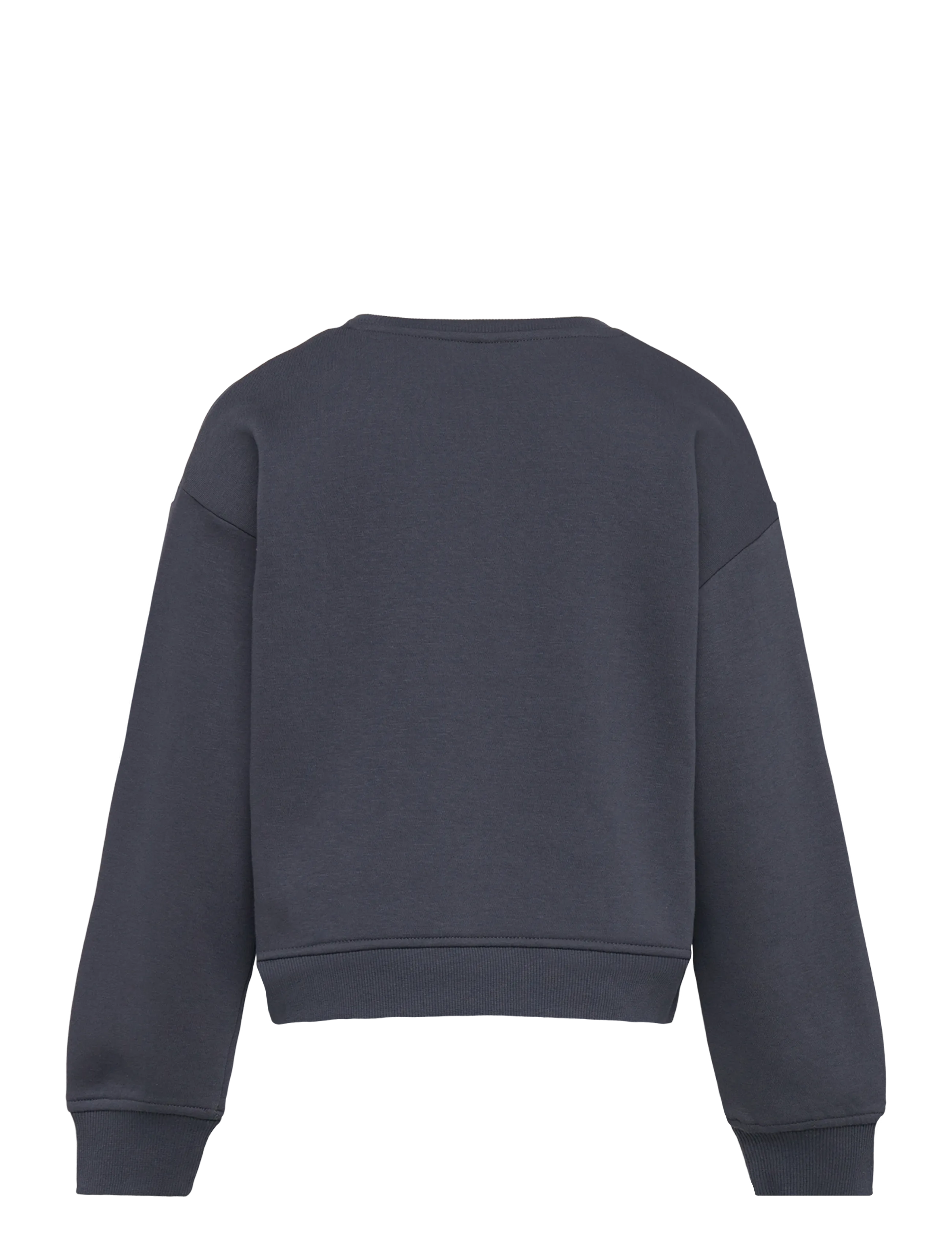 Kids Only - KMGSWEAT LS CREW OSZ STAT SWT NOOS - sweatshirts - ombre blue - 1