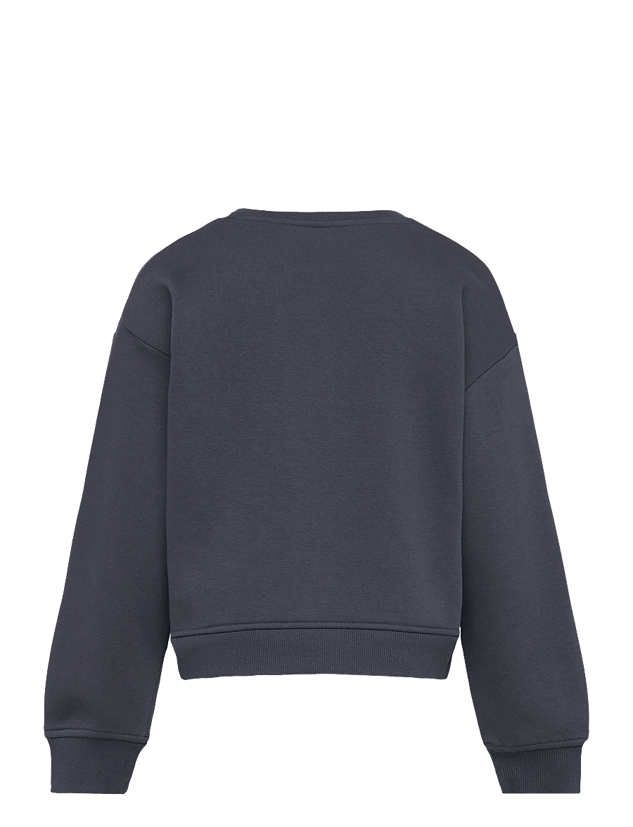 Kids Only - KMGSWEAT LS CREW OSZ STAT SWT NOOS - sweatshirts - ombre blue - 1