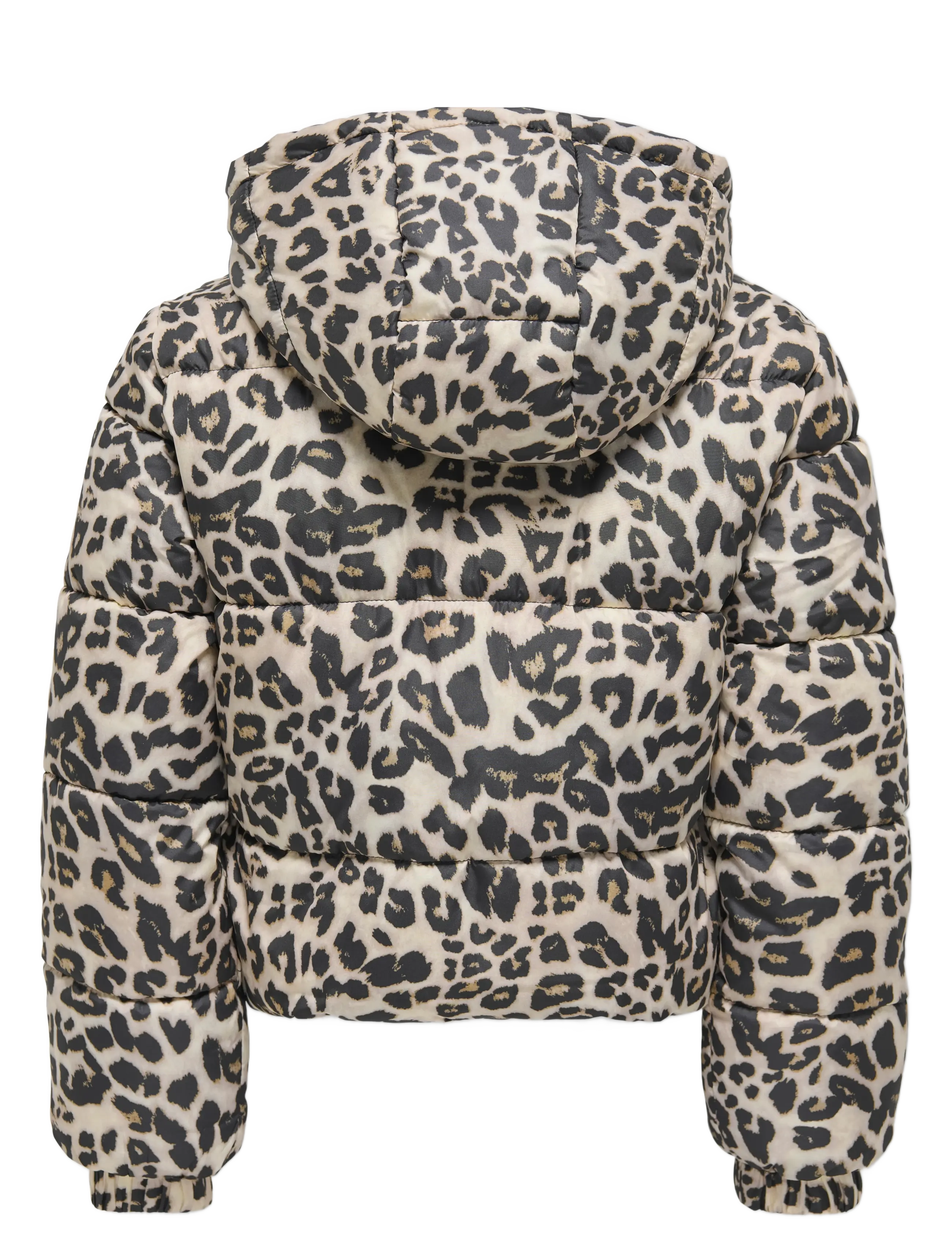 Kids Only - KOGDALIA SHT PUFFER AOP JACKET OTW NOOS - vetrarjakkar - silver mink - 2