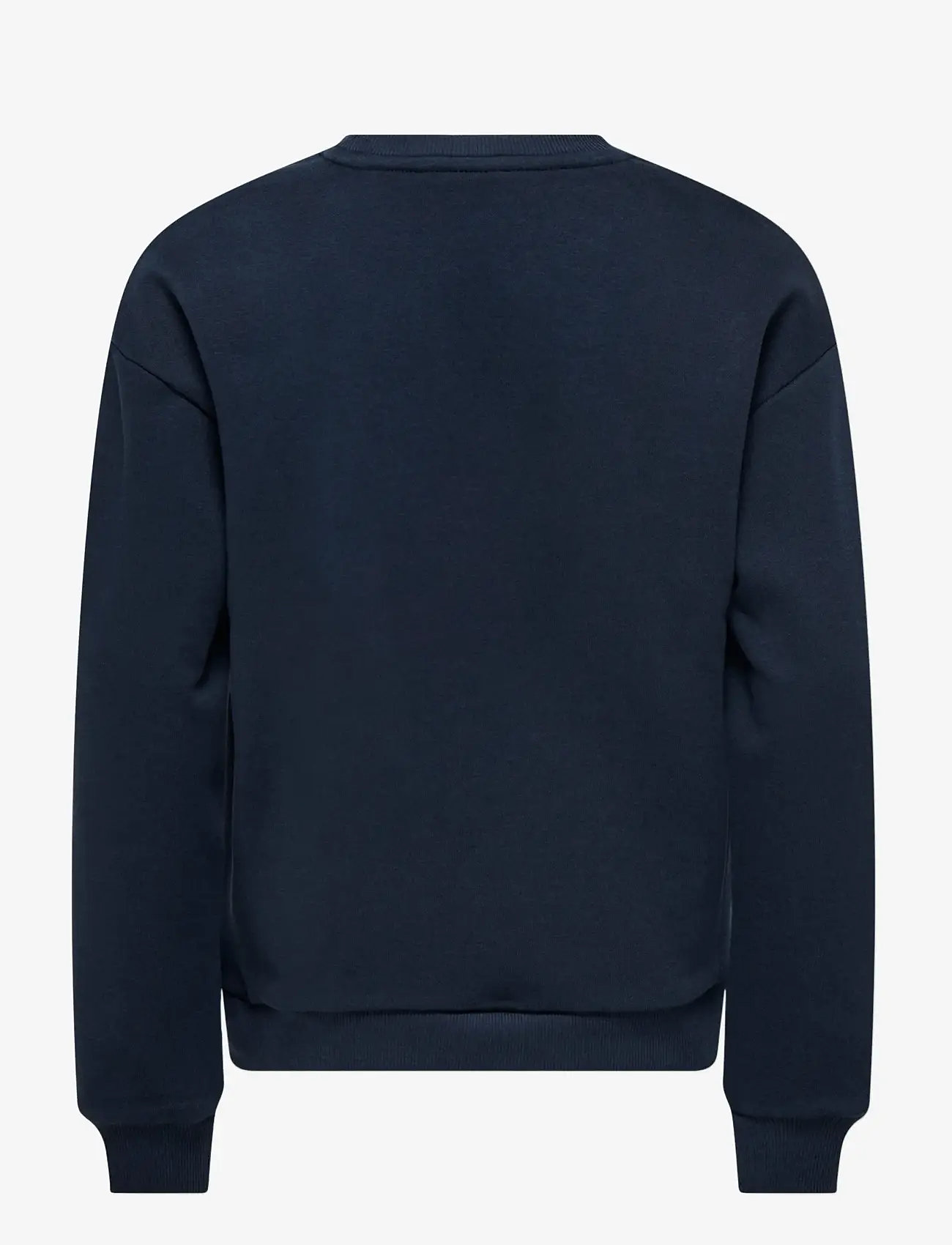 Kids Only - KOGYDA LIFE XMAS L/S O-NECK BOX SWT - dressipluusid - night sky - 1