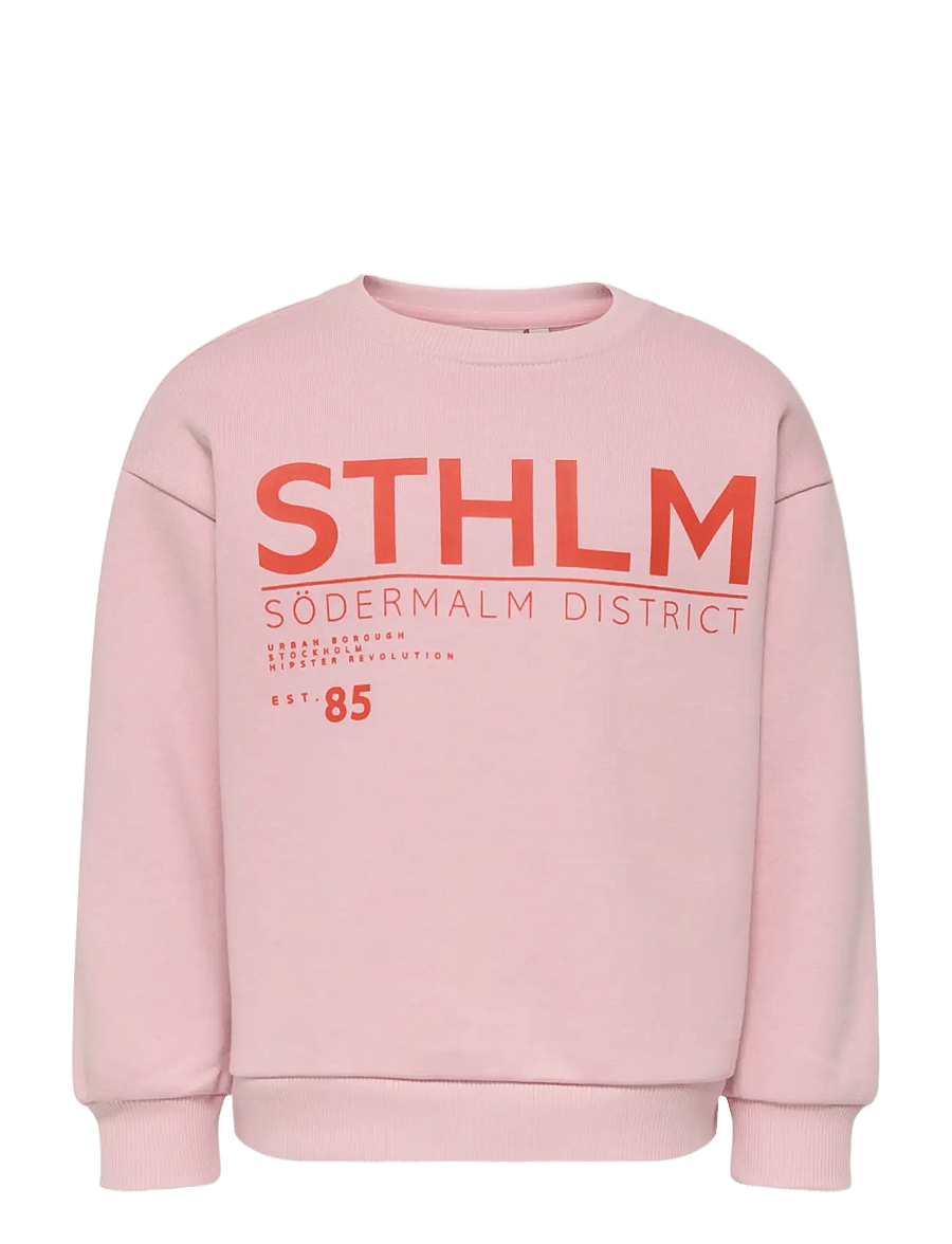 Kids Only - KMGZENJA LIFE L/S BOXY PULLOVER BRU SWT - sweatshirts - bleached mauve - 0
