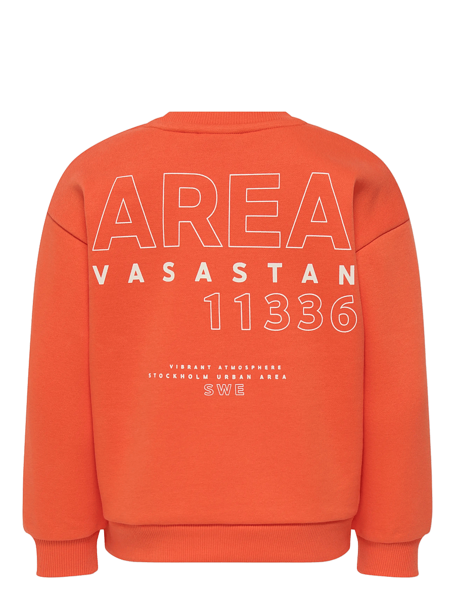 Kids Only - KMGZENJA LIFE L/S BOXY PULLOVER BRU SWT - sweatshirts - tigerlily - 2