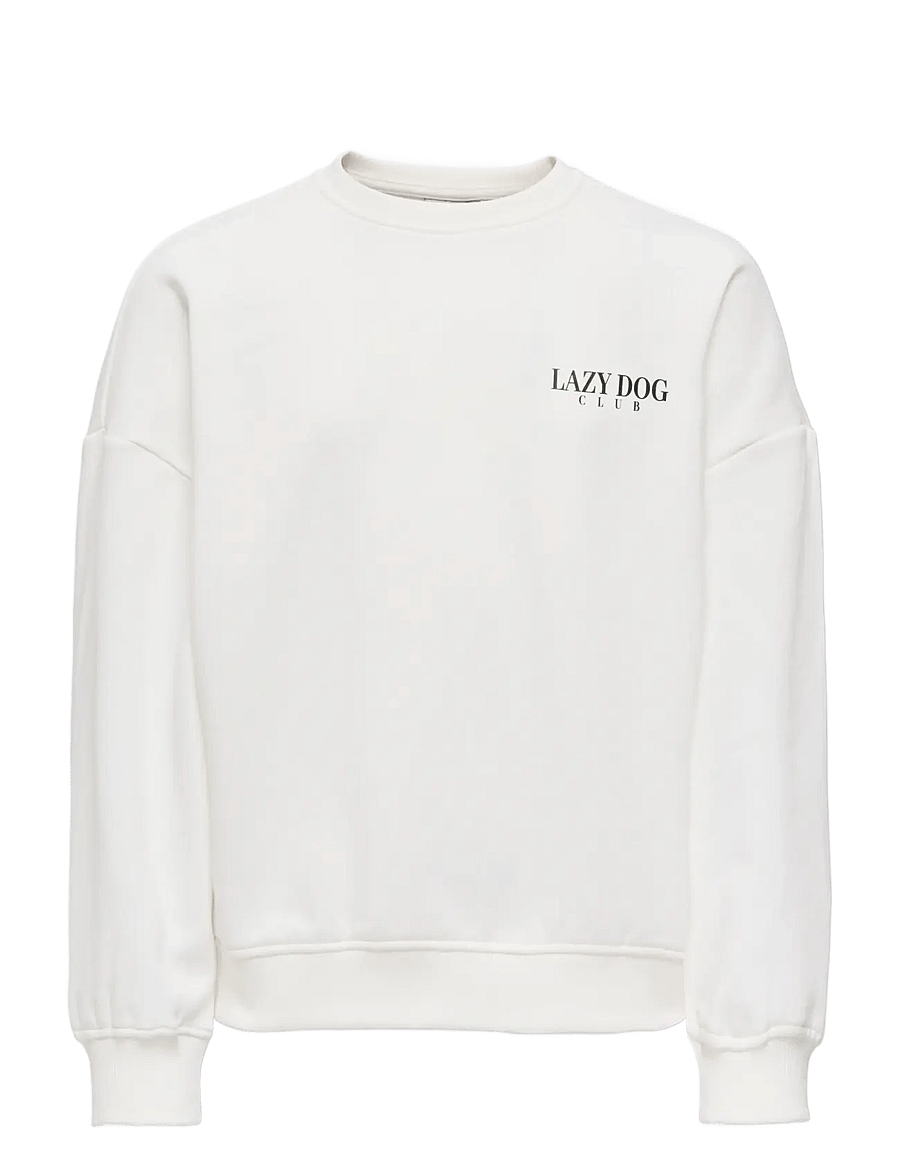 Kids Only - KOGBILA L/S OVZ PRINT O-NECK SWT NOOS - sweatshirts - cloud dancer - 0