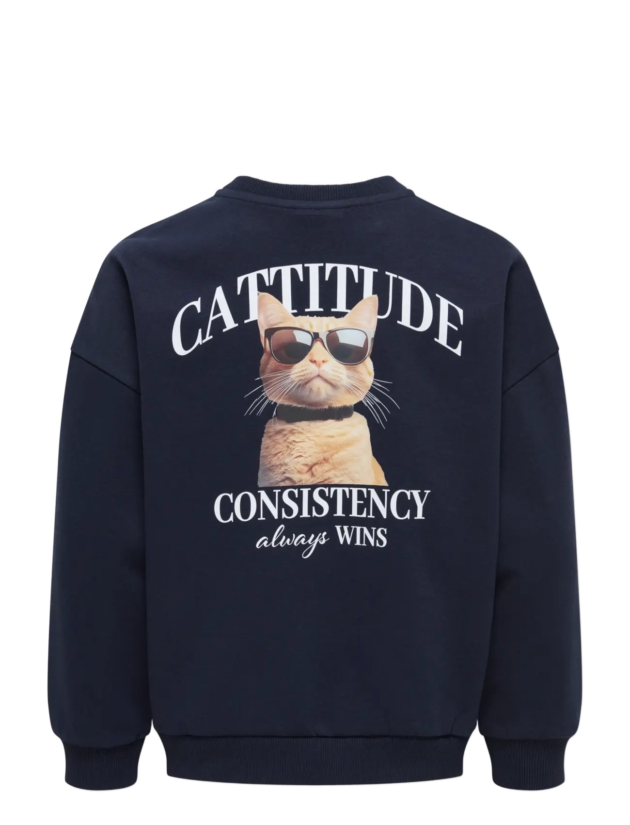 Kids Only - KOGBILA L/S OVZ PRINT O-NECK SWT NOOS - sweatshirts - night sky - 1