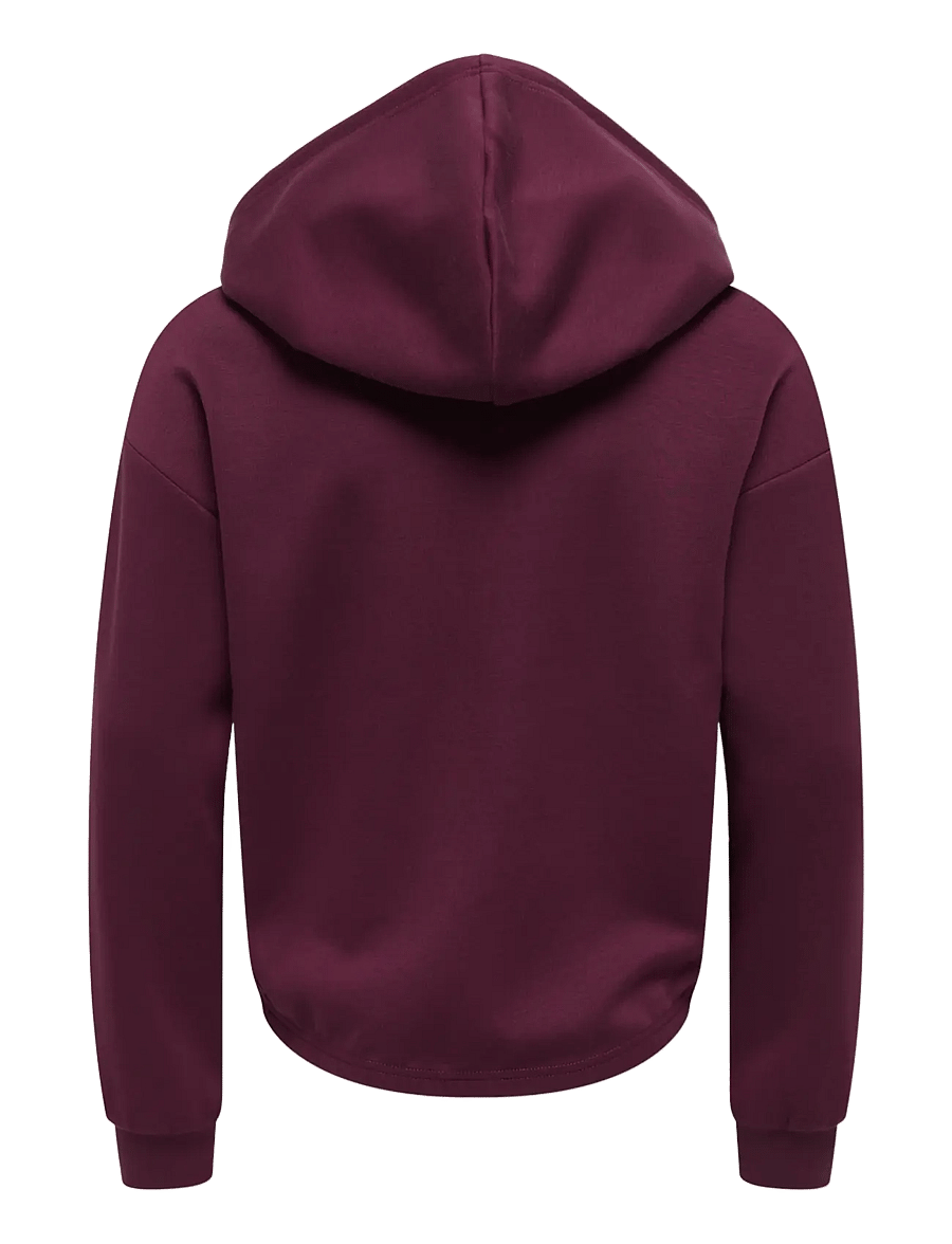 Kids Only - KOGADA-COOPER HEART L/S HOOD FR SWT NOOS - hættetrøjer - fig - 2
