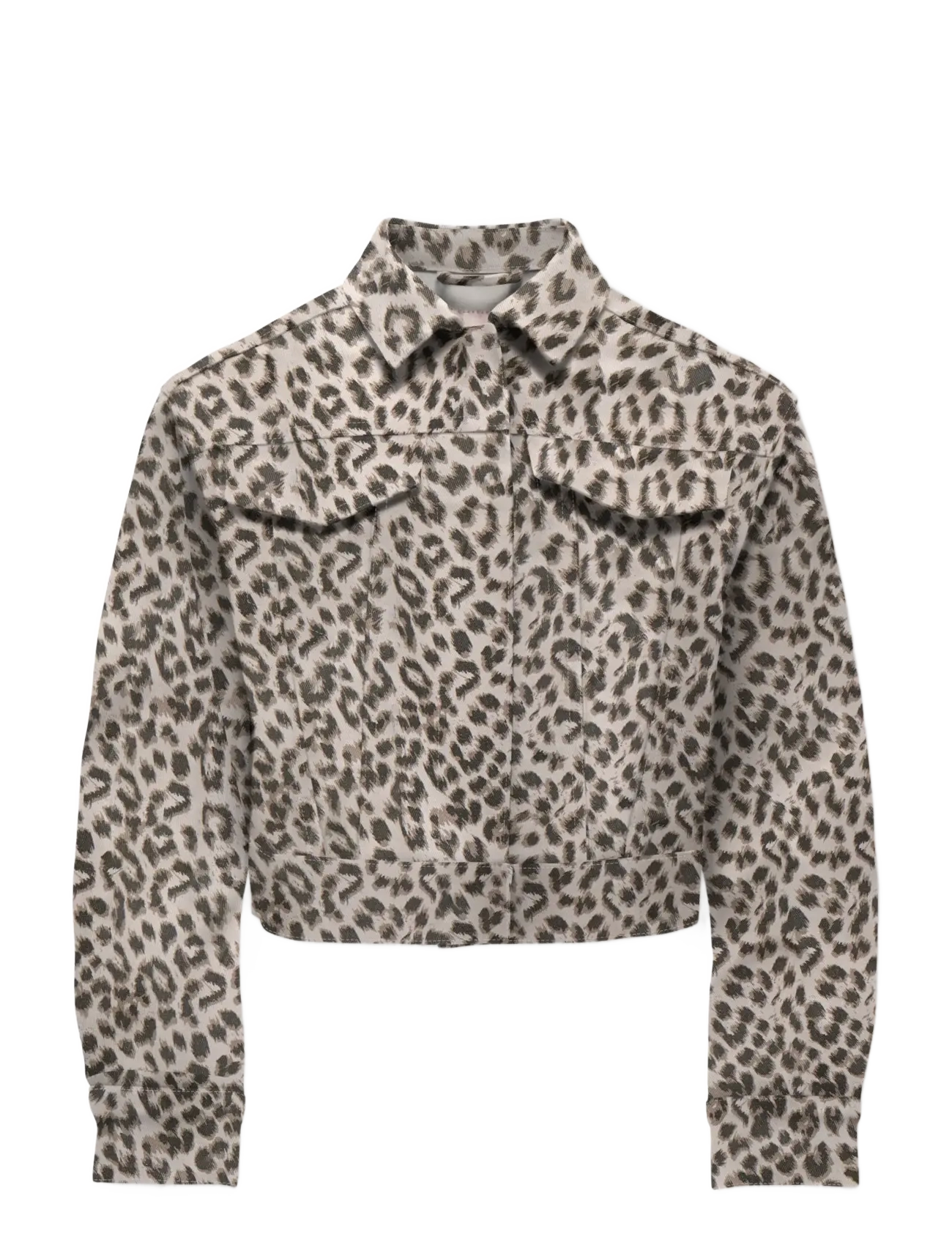 Kids Only KOGANLIE-ANIMAL L/S JACKET VD PNT - Einkaufen nach Alter von - SILVER LINING / grey