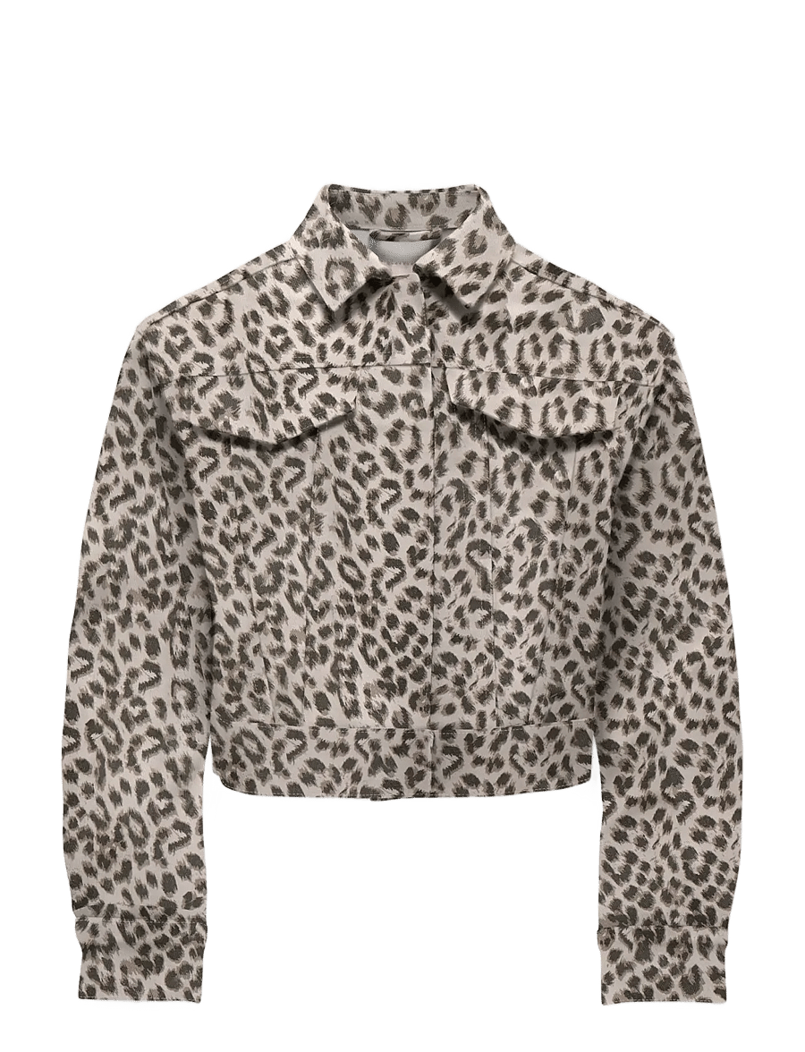 Kids Only - KOGANLIE-ANIMAL L/S JACKET VD PNT - denimjakker - silver lining - 0