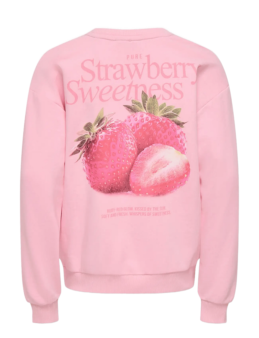 Kids Only - KOGPHILEA LIFE L/S LOOSE UB VD SWT NOOS - sweatshirts - romance rose - 1