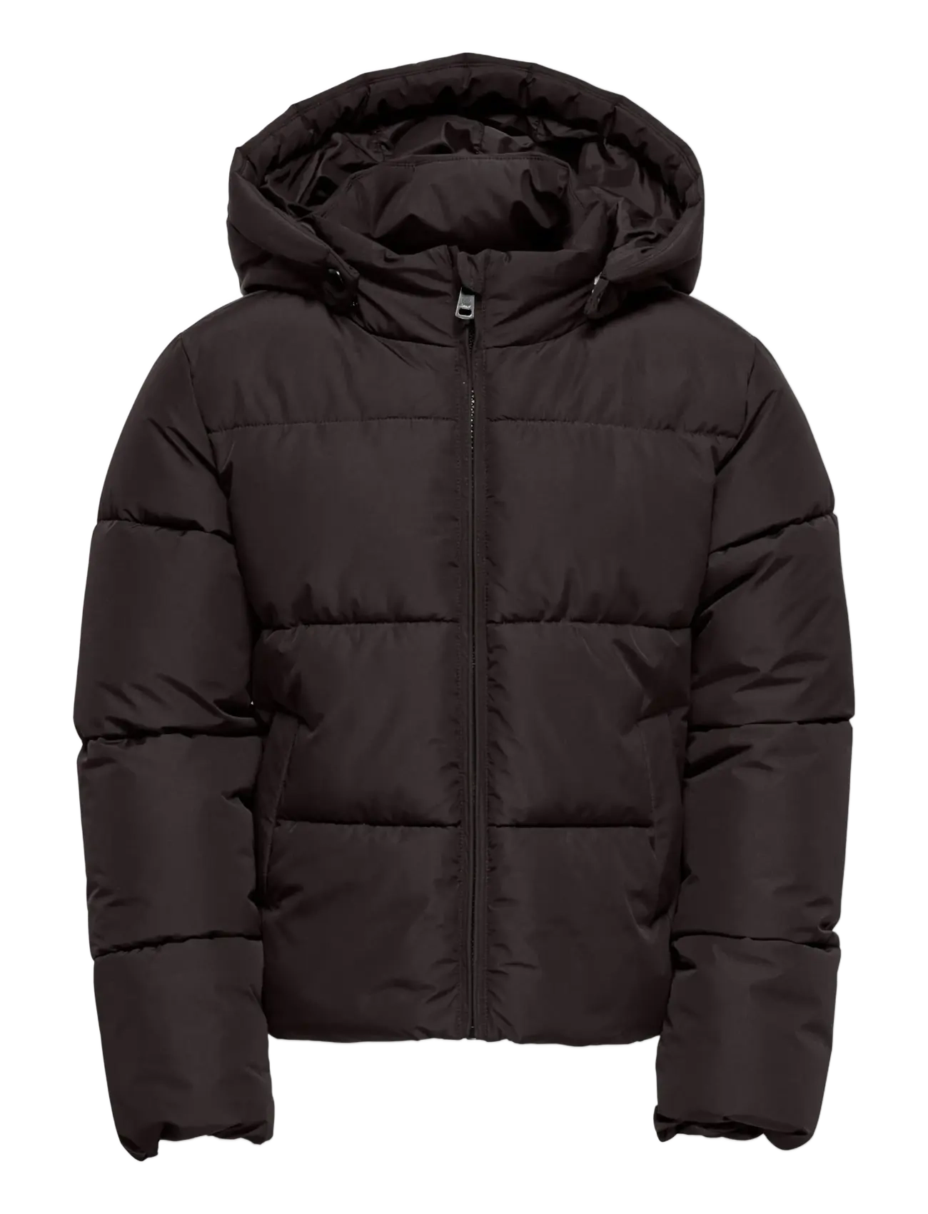 Kids Only KOGJUTA LIFE SHORT PUFFER OTW NOOS - Alles anzeigen - CHOCOLATE TORTE / brown